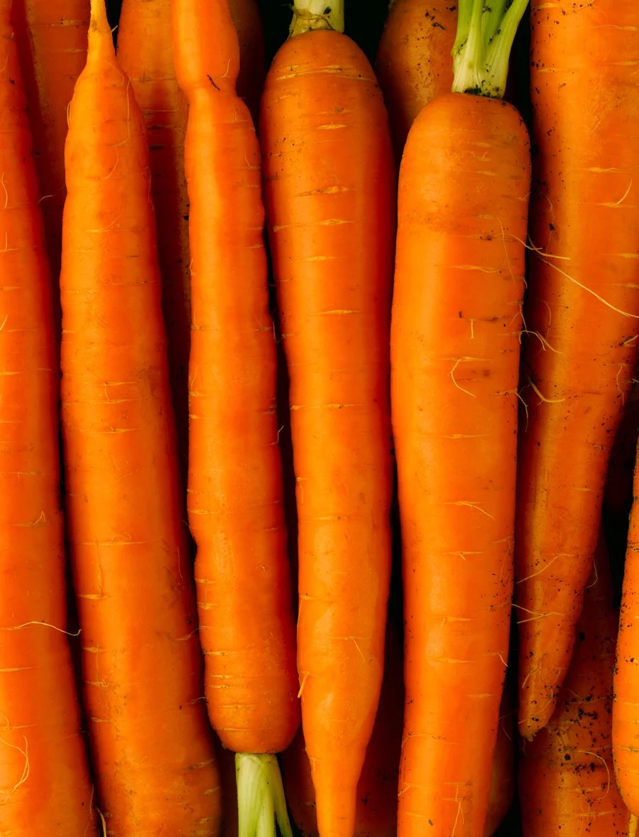 carrots.jpg