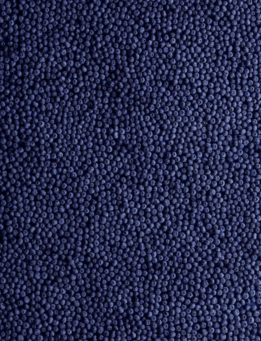 blueberries final.jpg