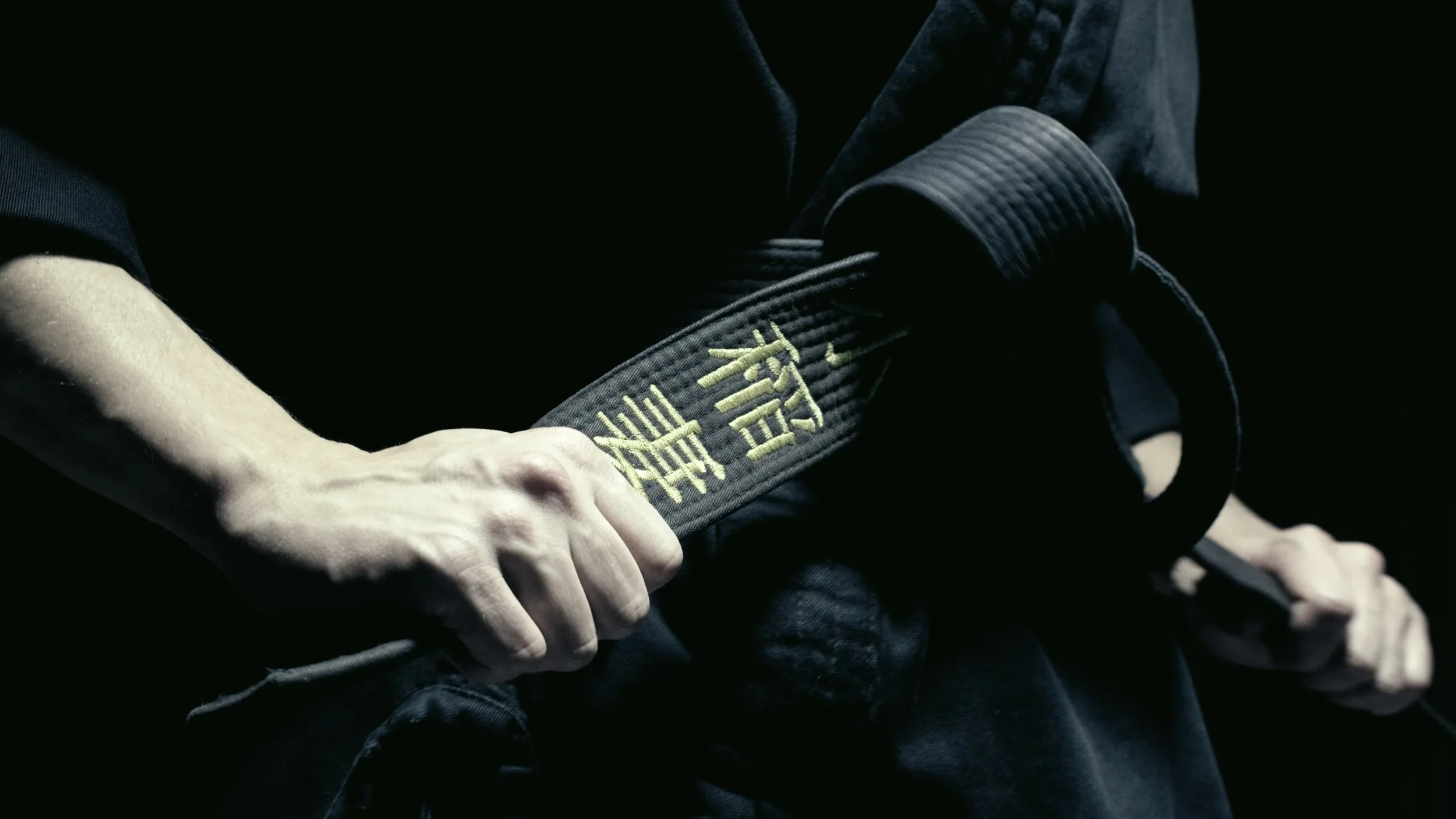 Godai No Musha Dojo – Imagevideo