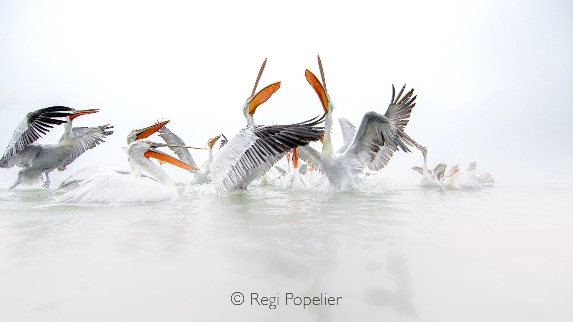 GRE012 - And it continued...