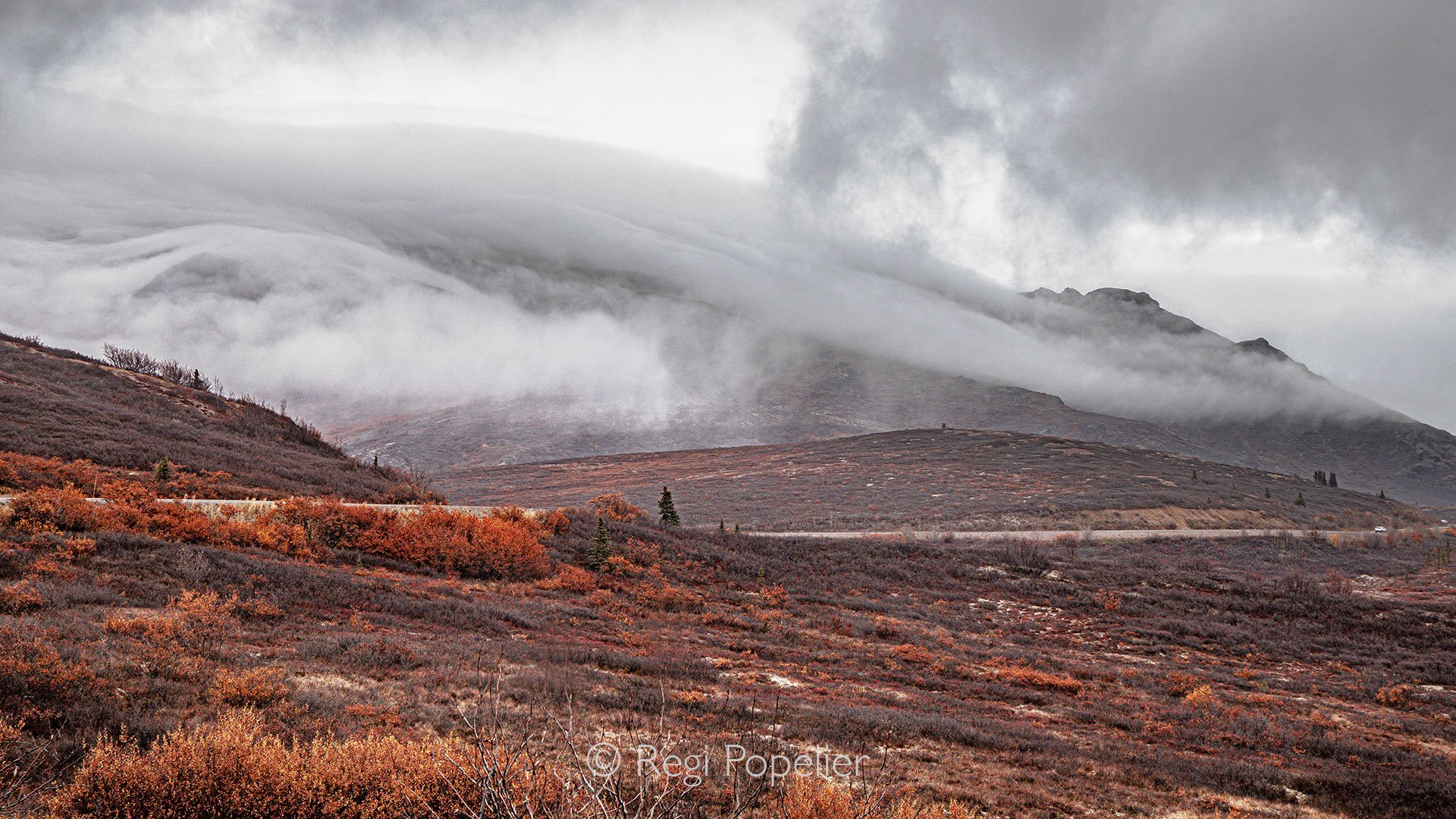 AL002 - Untouched nature, unbelievable sightings at early morning along the dalton highway.