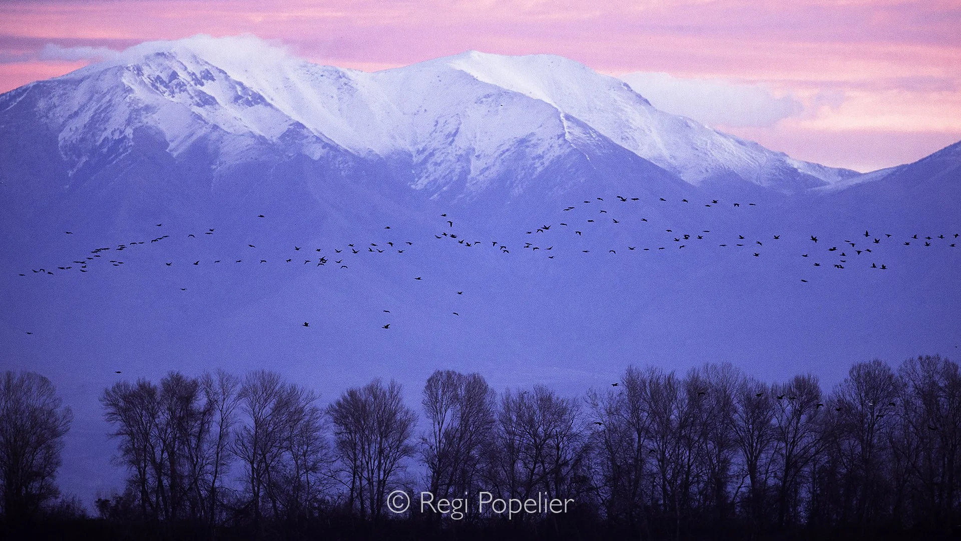 GRE021 - The rugged mountains surrounding Kerkini create a dramatic and serene backdrop