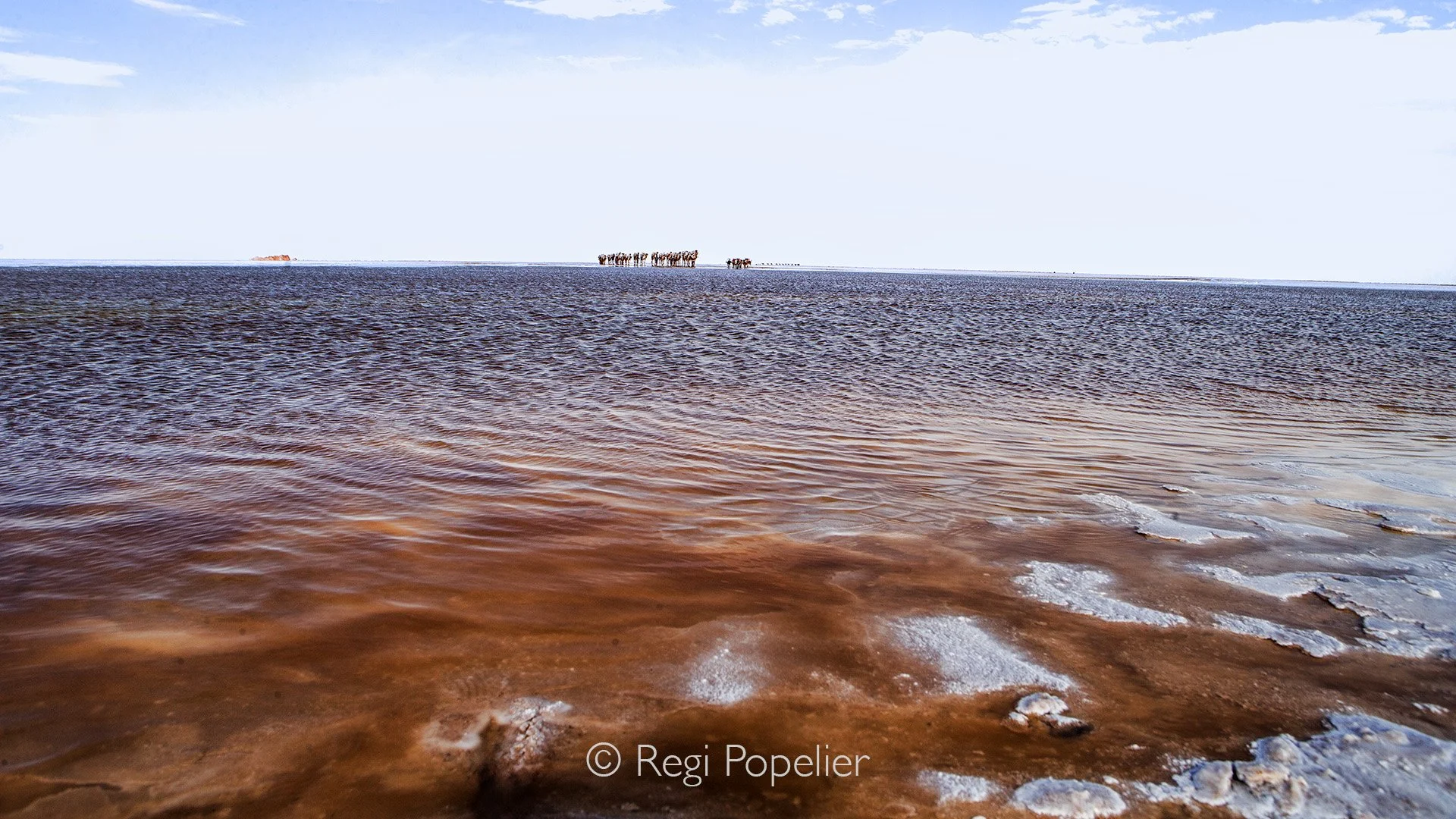 ETH036 - Contrast with the red algae and the upcoming convoy 