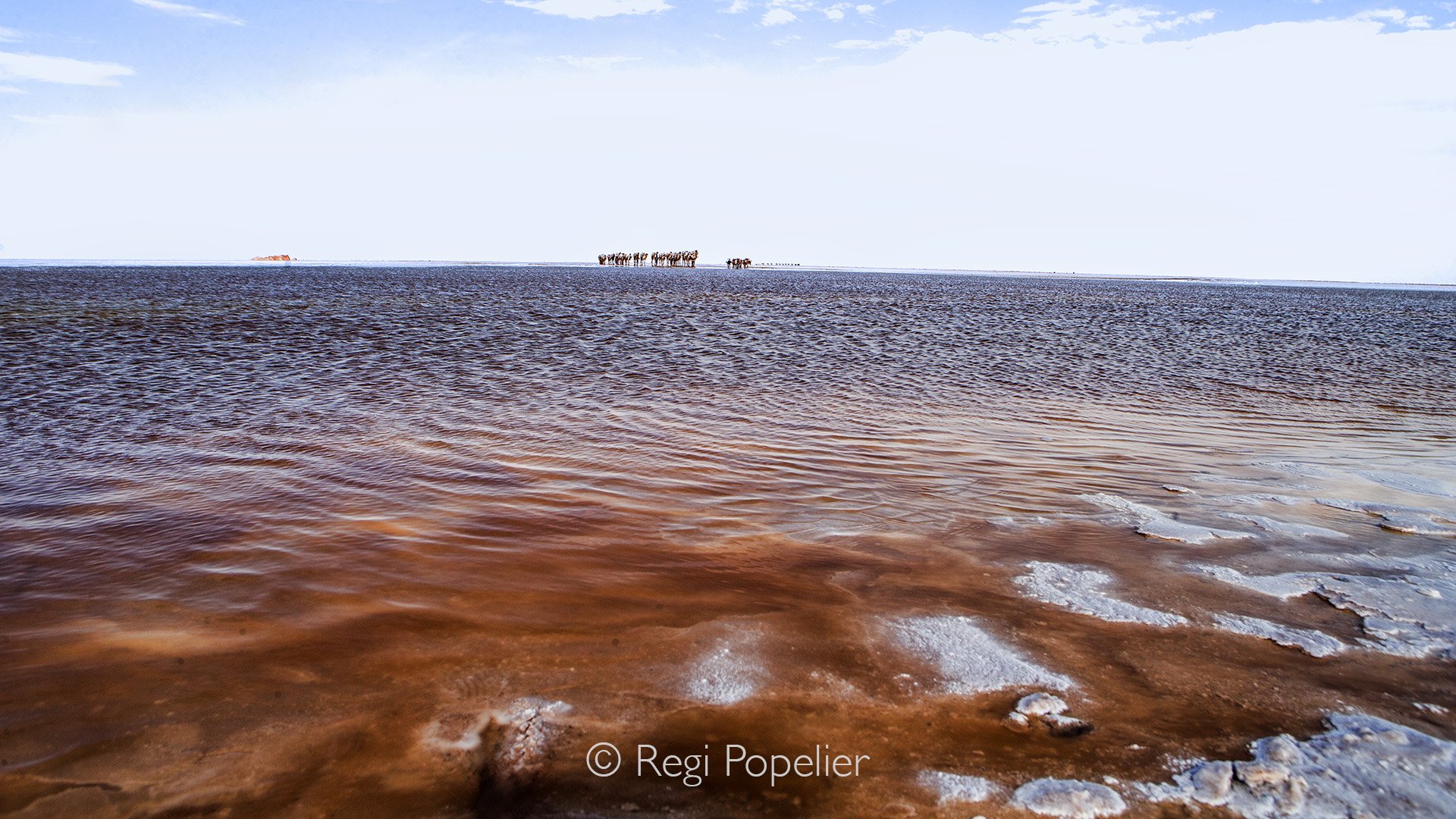ETH036 -  Contrast with the red algae and the upcoming convoy. 