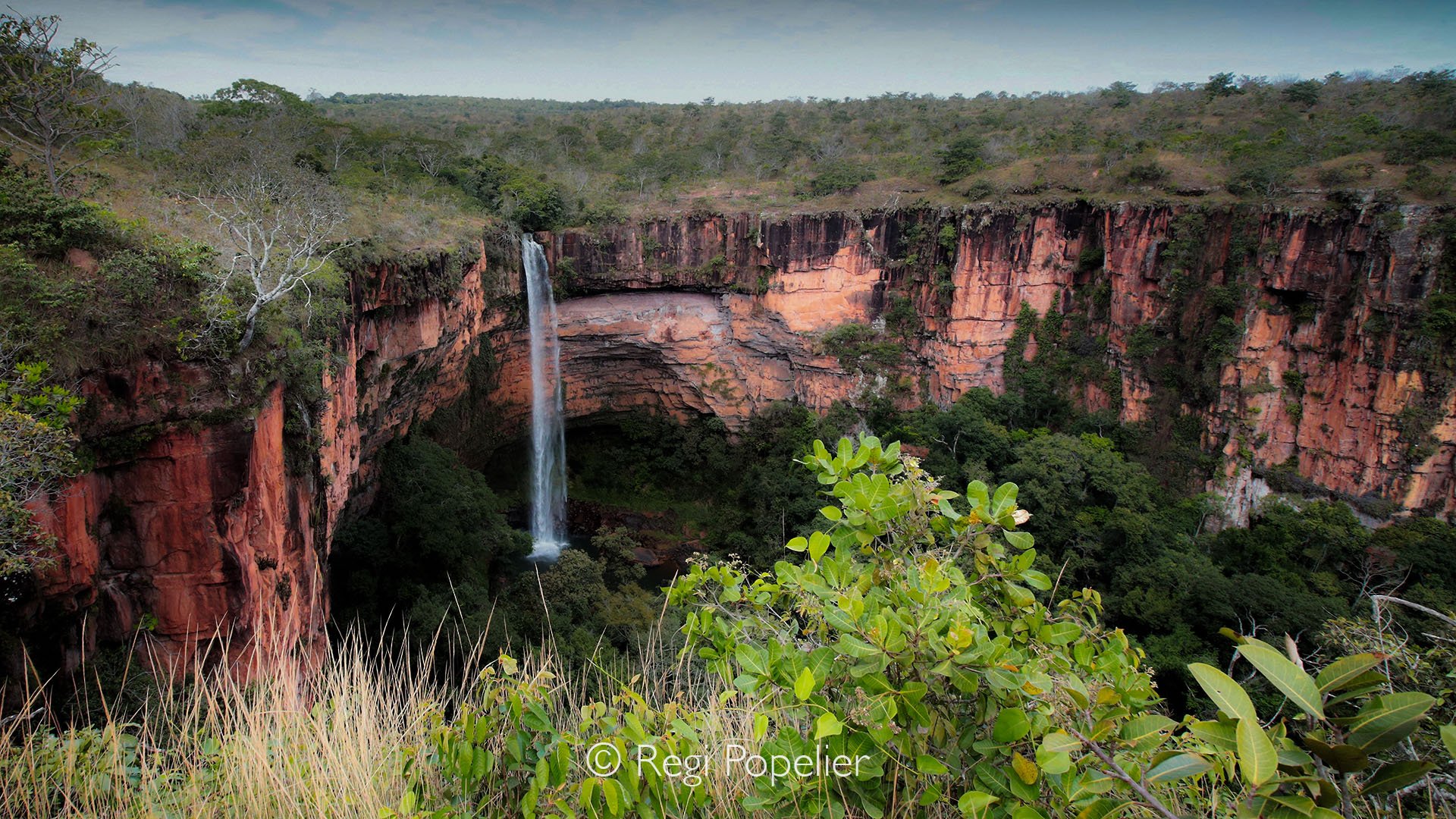 BRA009 - Serene view of the Cerrado with a sparkling water cascade, where golden savannas meet flowing streams.