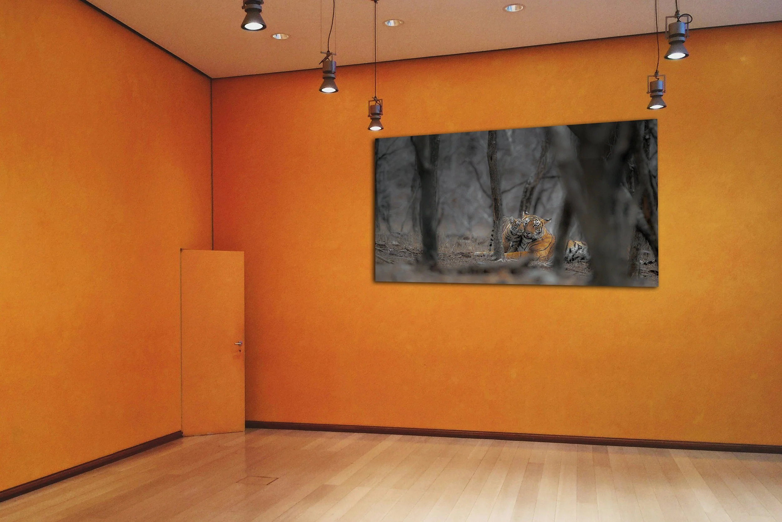 the queen showroom.jpg