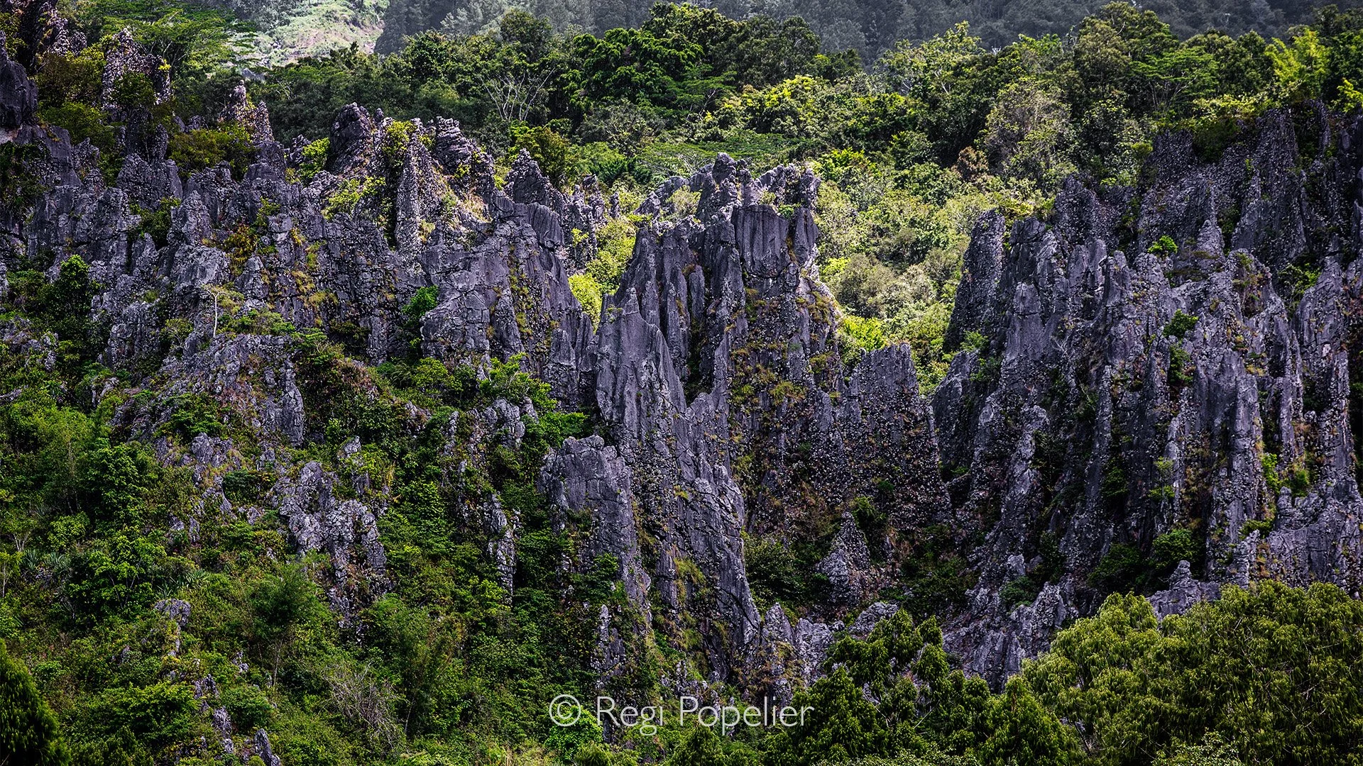 INDO028 - Leang Leang Cave Paintings In Maros, Sulawesi
