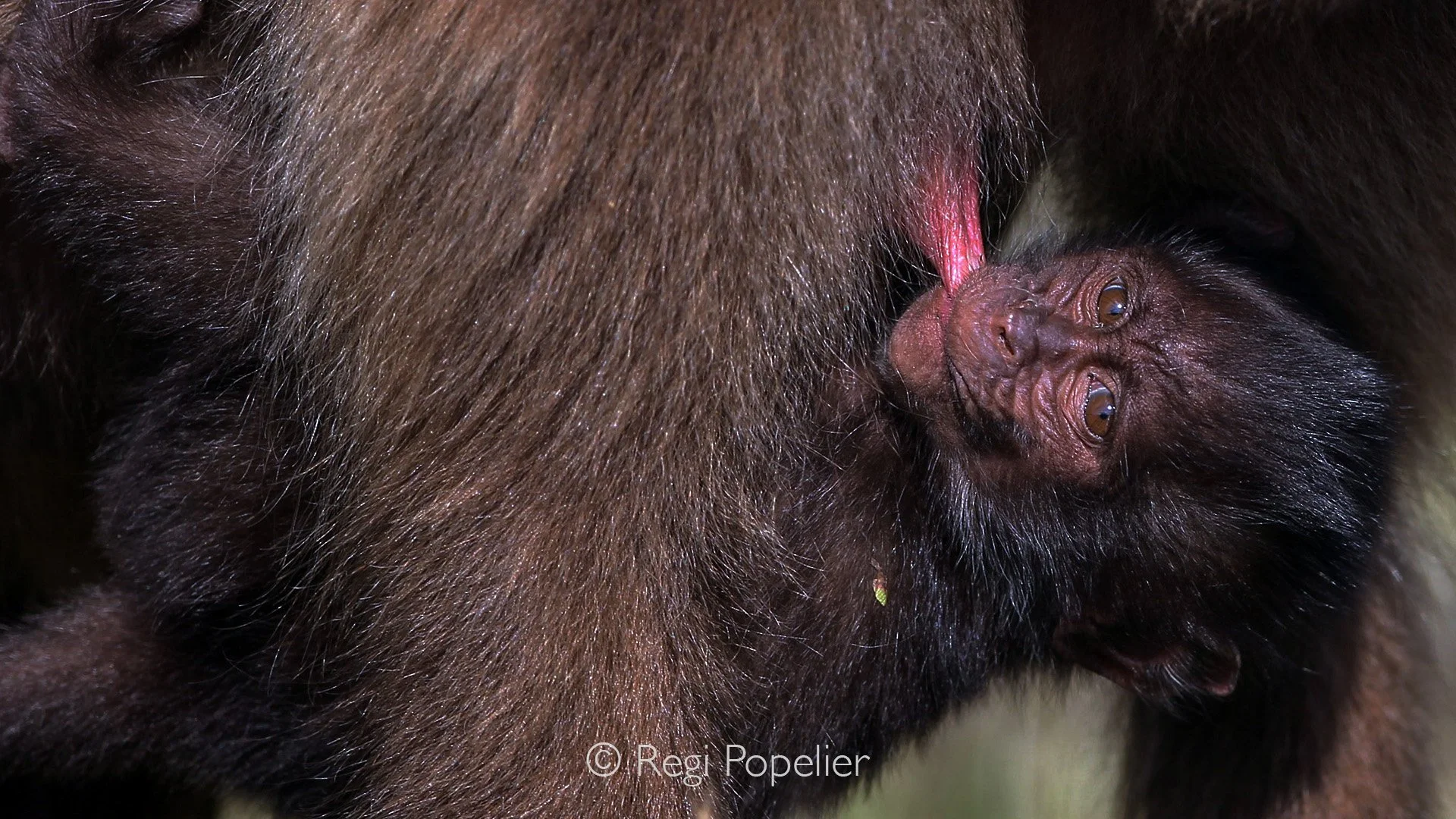 ETH 076 - I am thirsty