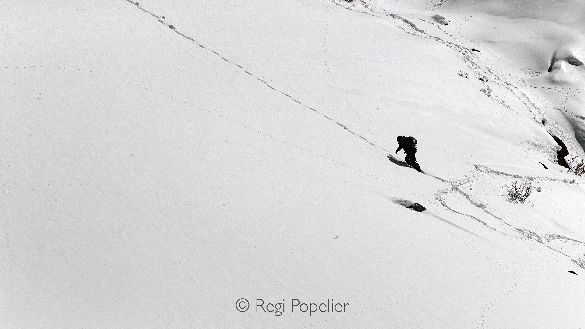 HIMA023 - The climb, up to a place higher where snow leopards were seen.