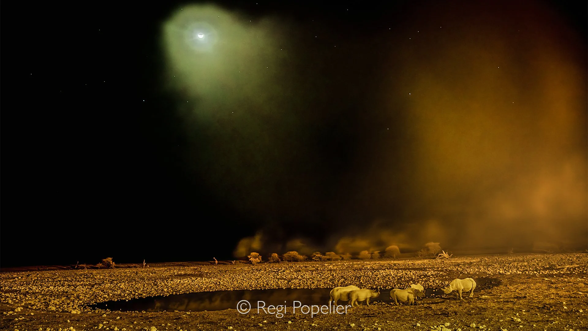 Namibia076 - By pulling back with a wide lens, the frame balances three distinct light sources: the natural moon, the golden waterhole lamps, and the glowing dust. This swirling, illuminated atmosphere emphasizes the raw, chaotic energy of multiple r