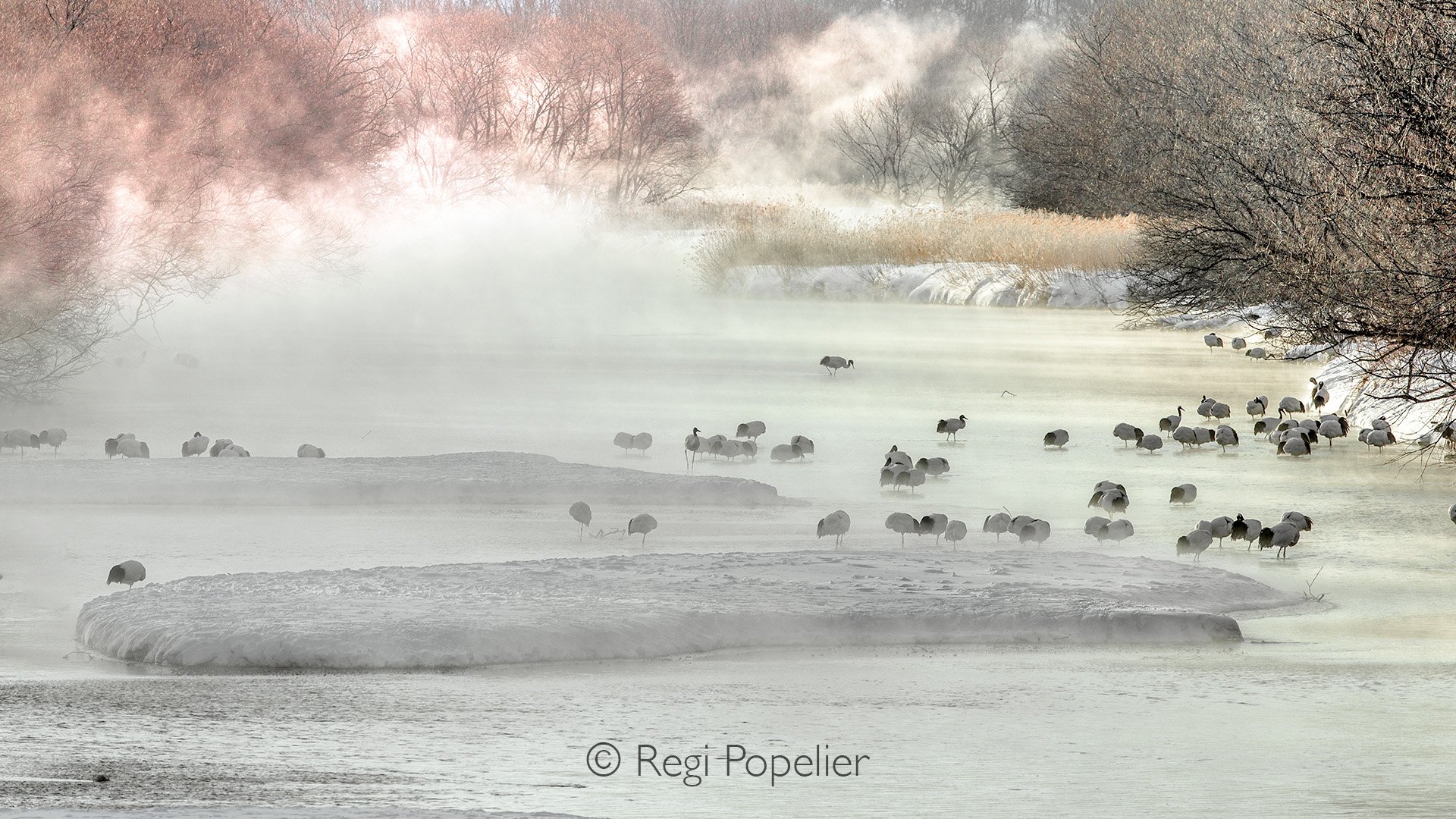 HOK025 - A general sight of the river from the Otowa bridge  Hokkaido 