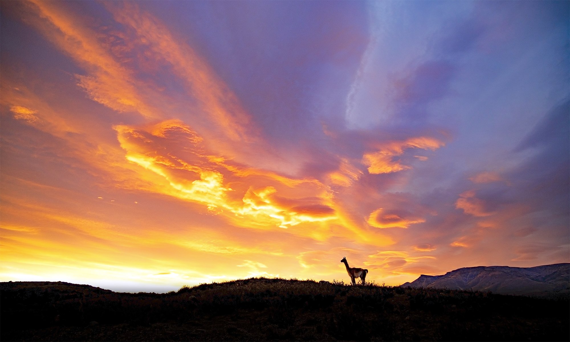 DD 001 _Evening Colors C5A7523.ww final 100 x 60 tif kopiëren.jpg