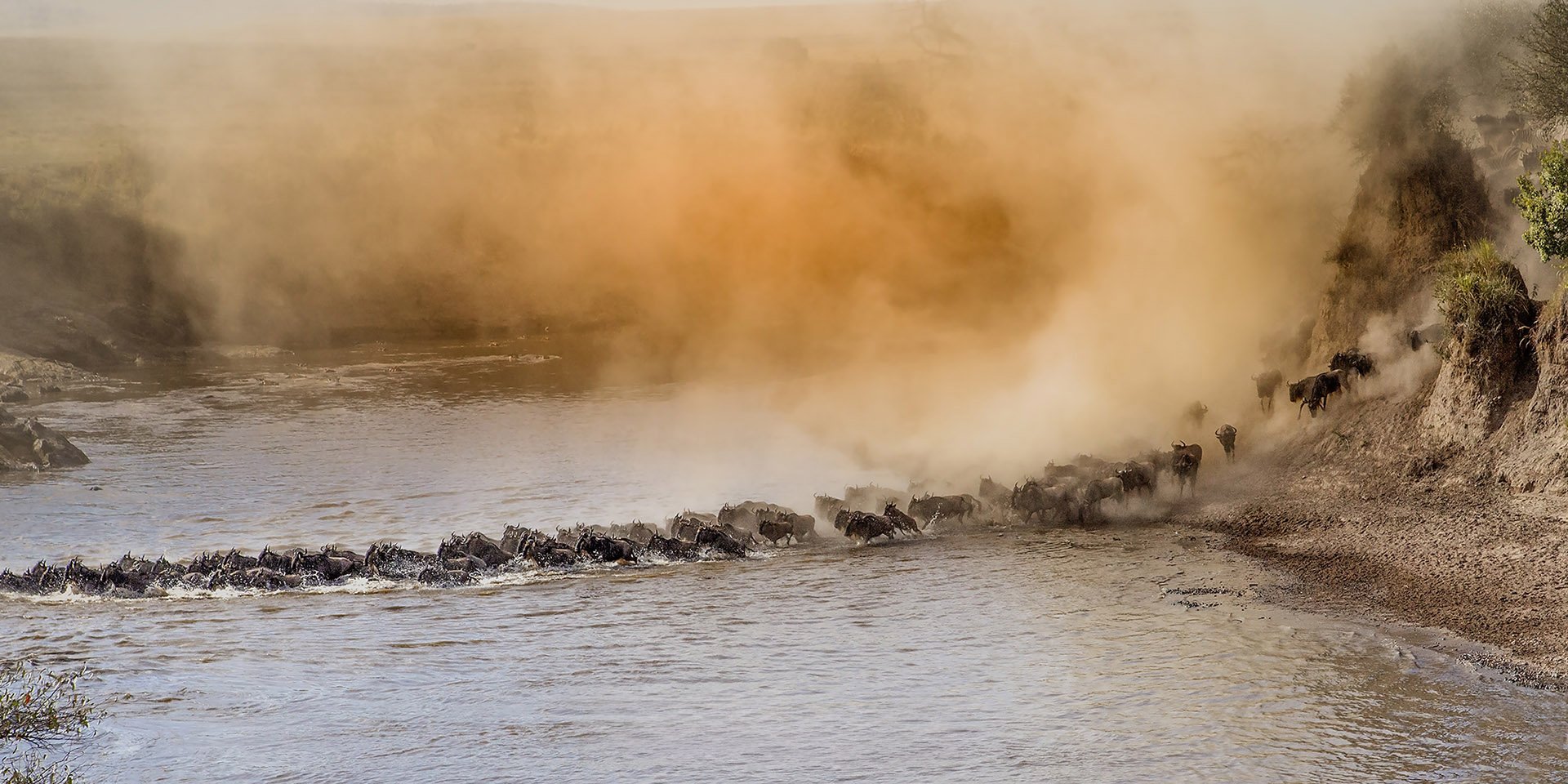 LE 002  Never Ending Journey  zonder logo.jpg