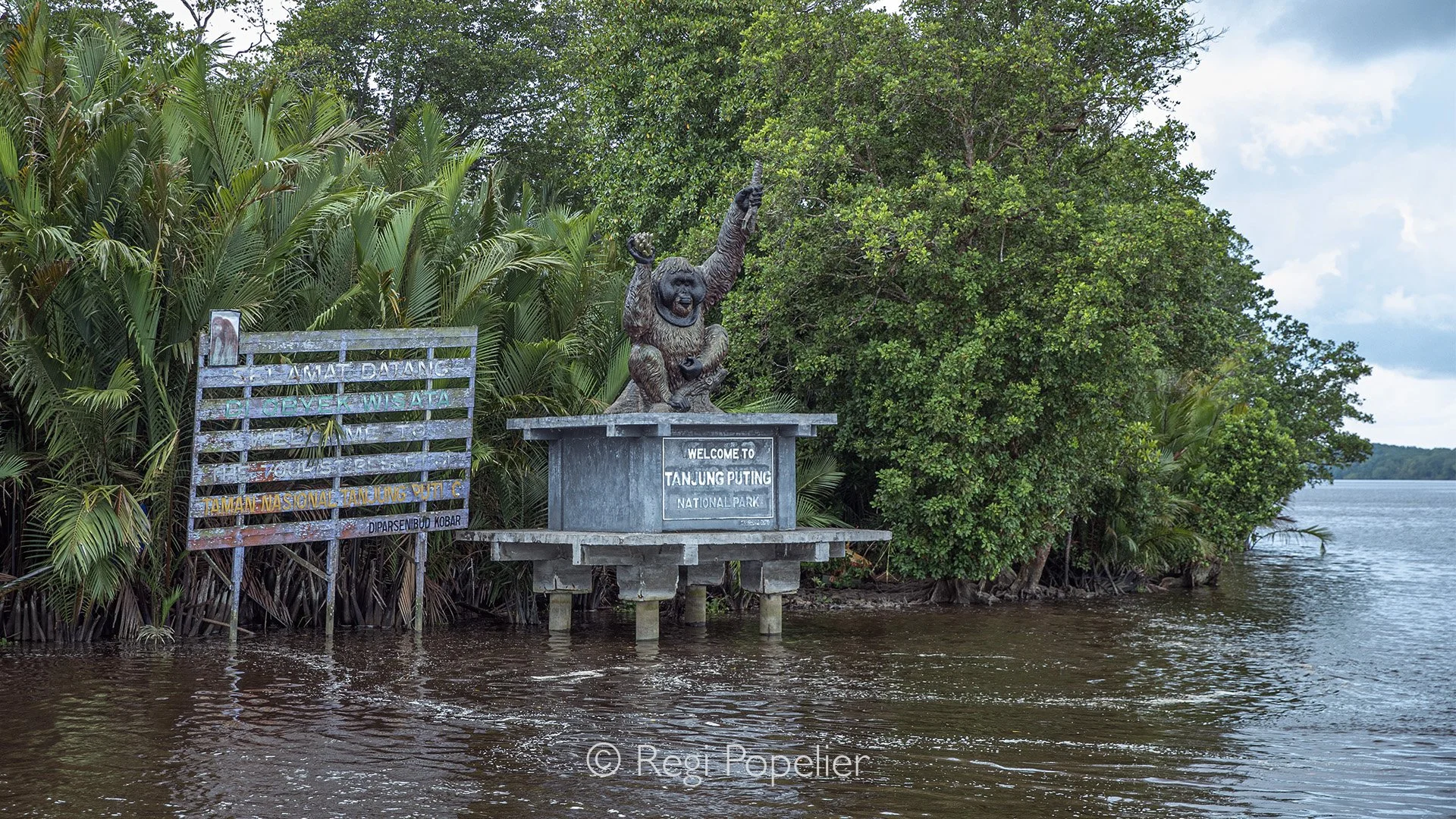 INDO002 - The sign on the river after taking direction to Tanjung Puting NP.