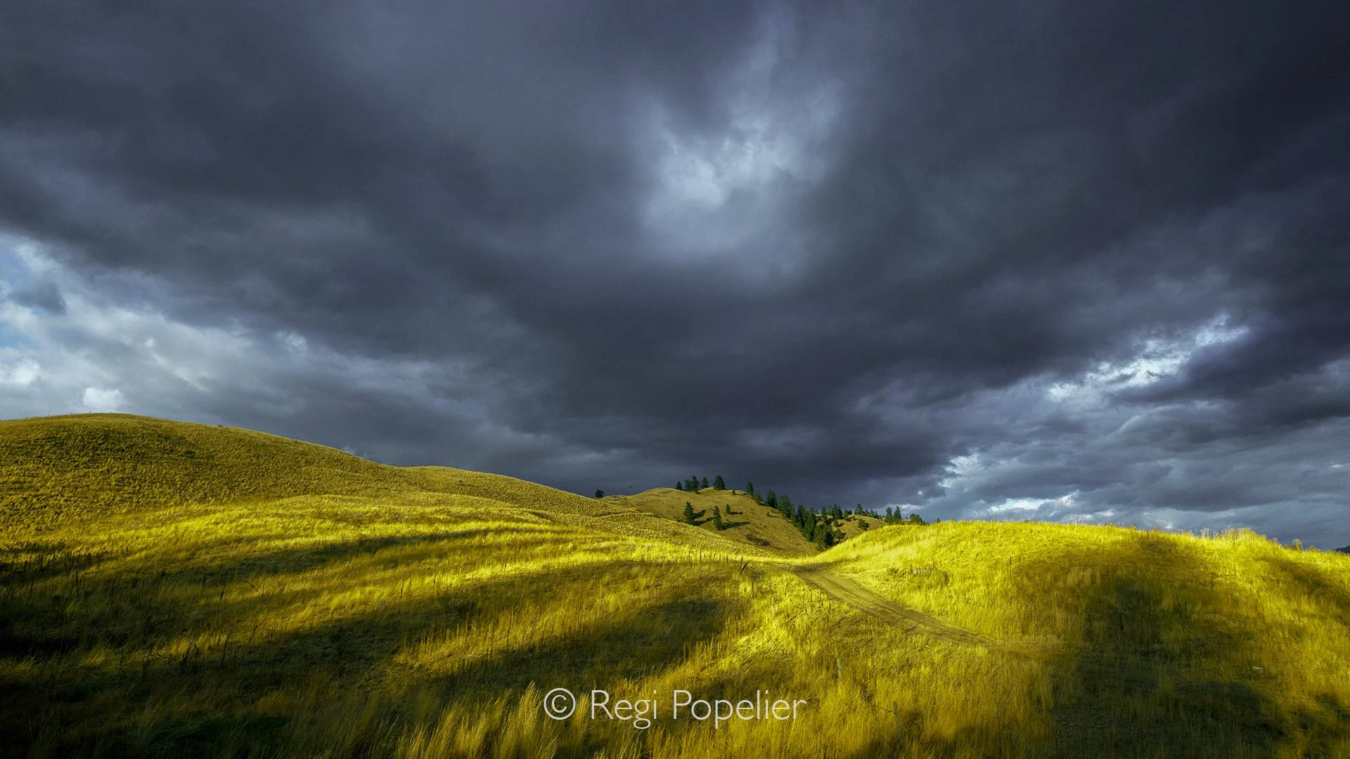 CAN003 - Endless plains of grass stand silhouetted against a dark, cloud-filled sky, vast and untamed.