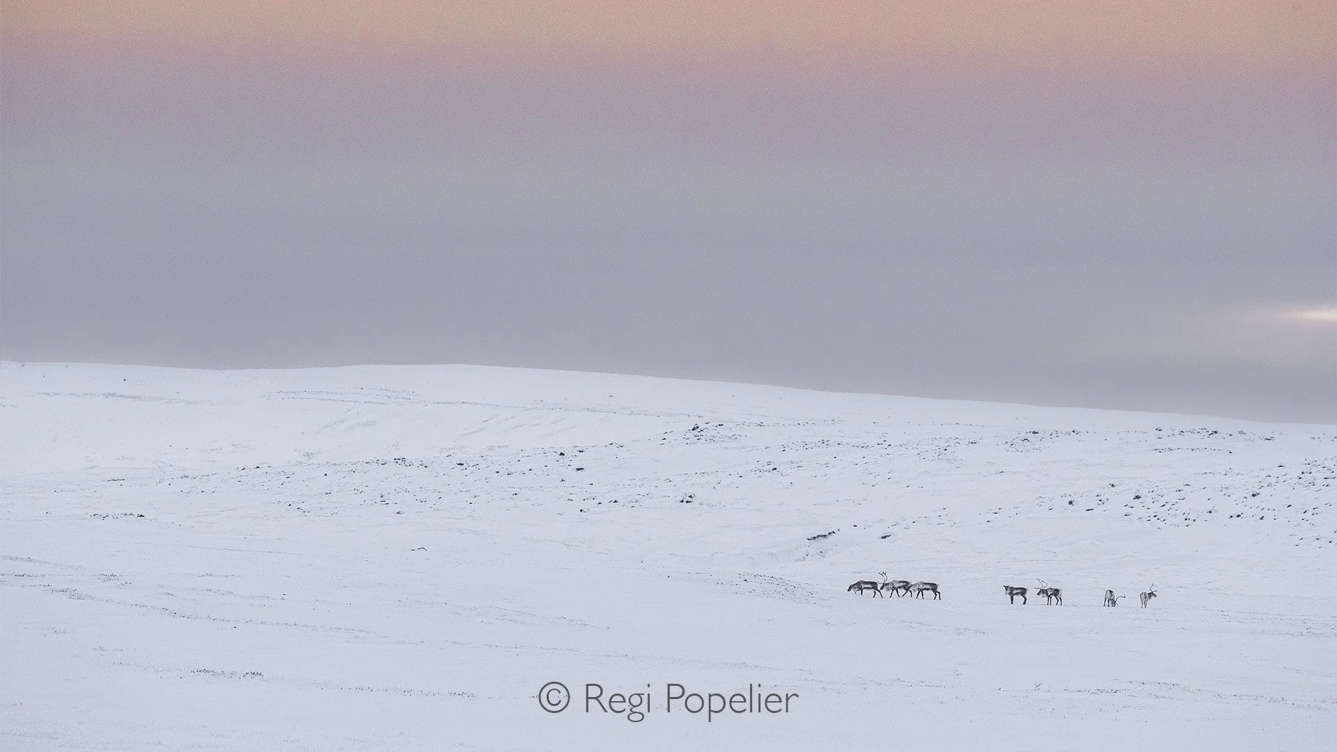 ICEL041 - The first ray's of light 