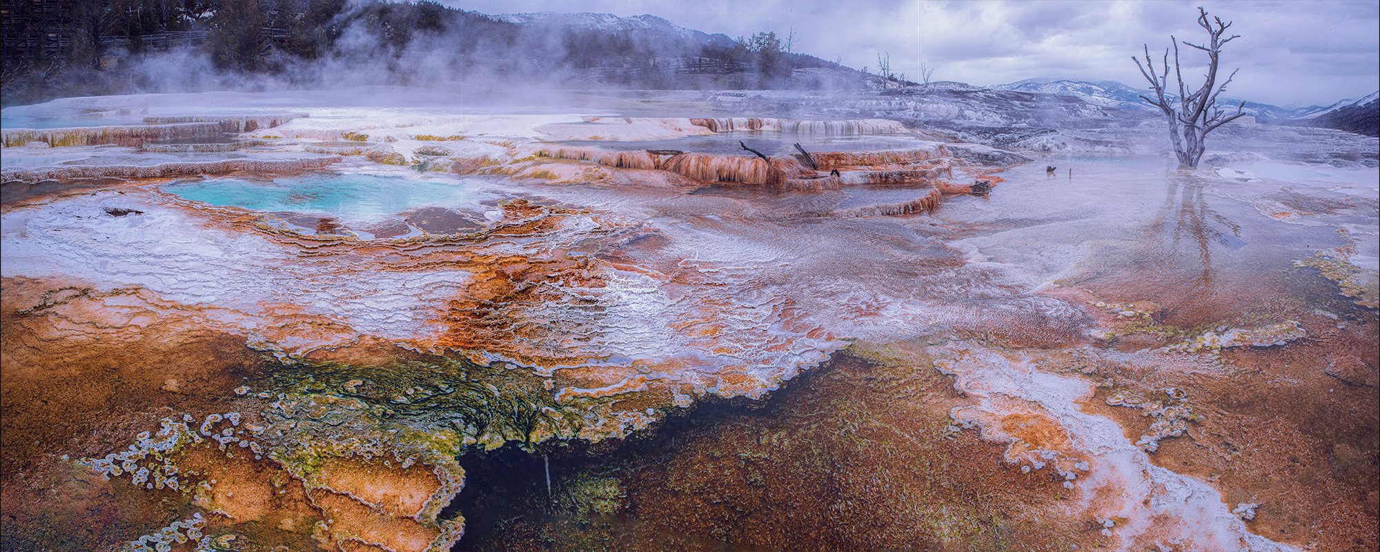 LS 022 Fury A Yellowstone 200x80cm kopiëren.jpg