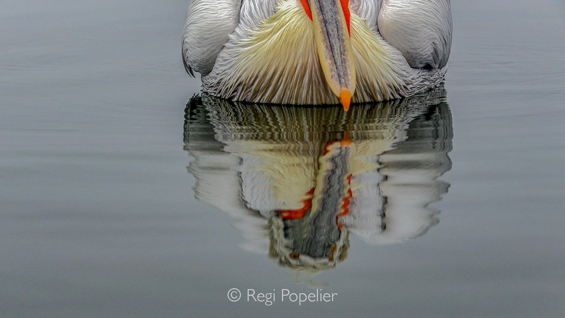 GRE002 - Reflection in the water.