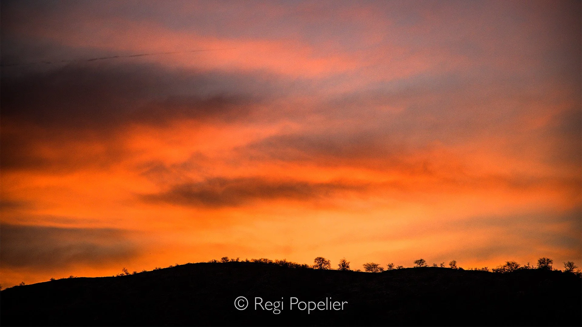 INDIA100 - A nice sunset at the Bandhavgarv NP.