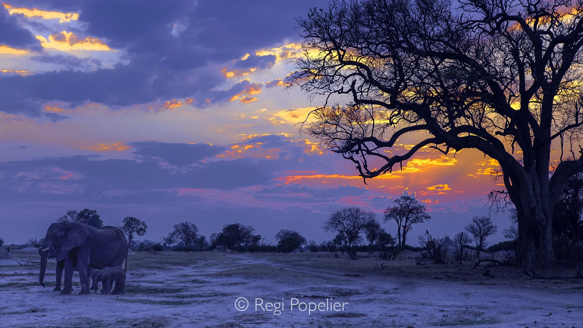 ZIM025 - Image of sunset in Hwange NP.