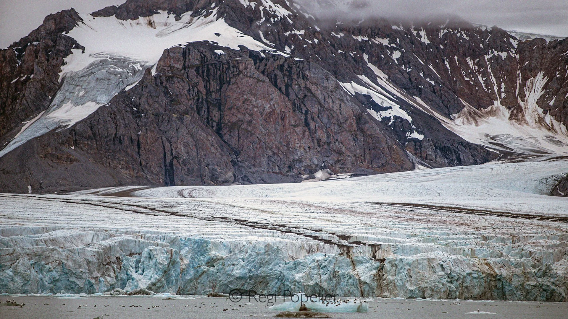 NPOLE009 - The glacier's bands of ice tell the story of countless Arctic winters.