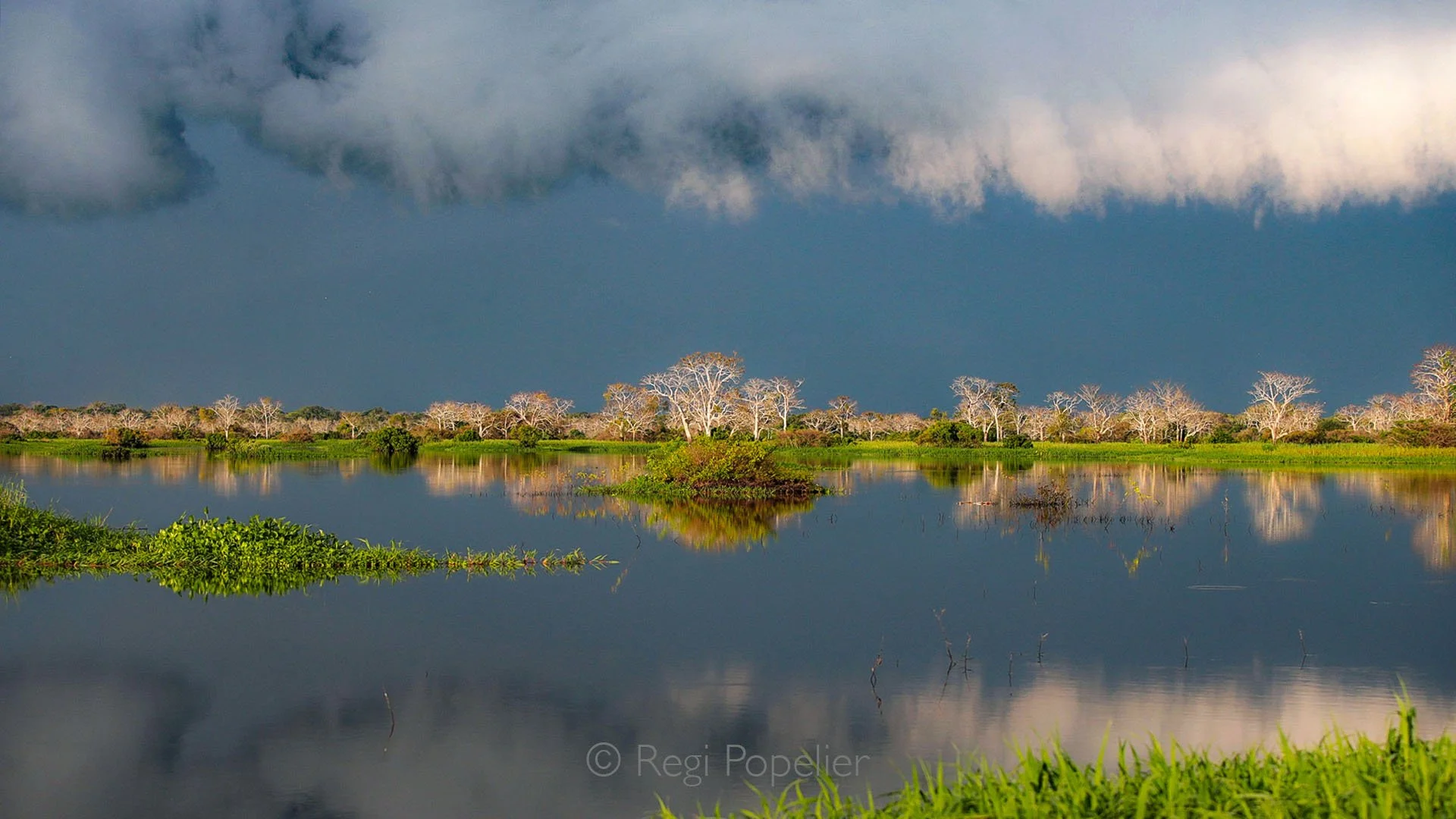 BRA010 - View of the Amazone ,a peaceful reminder of nature’s hidden treasures.