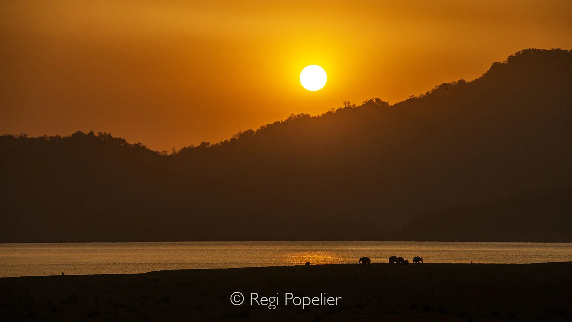 INDIA070 - At evening, enjoying the last minutes of this spectacle before returning to camp  