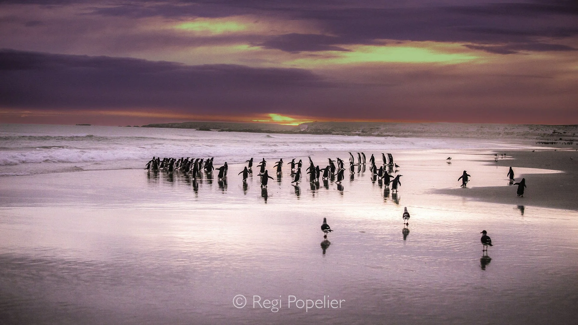 FAL029 -Sunset’s brush paints the world in wonder, the heart and camera cannot look away.