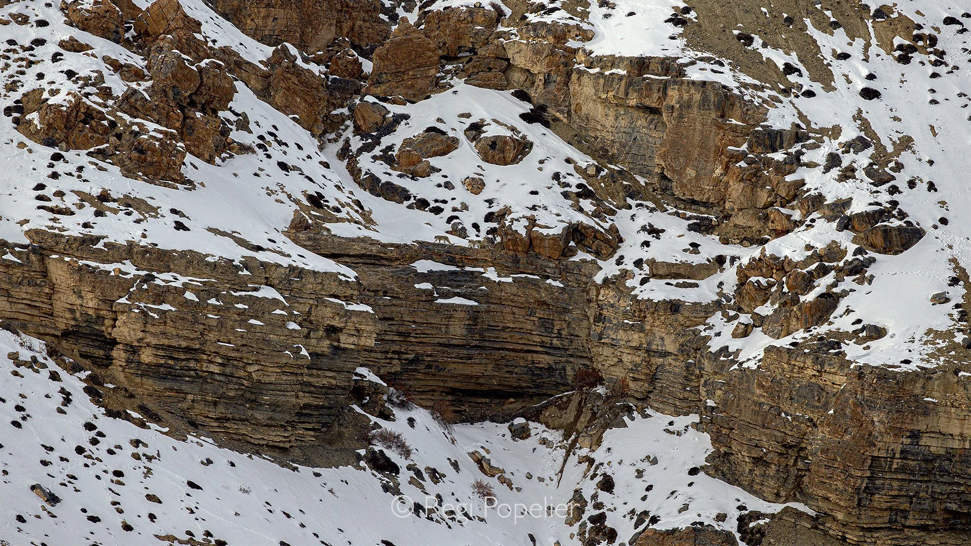 HIMA028 - Where do you see them 