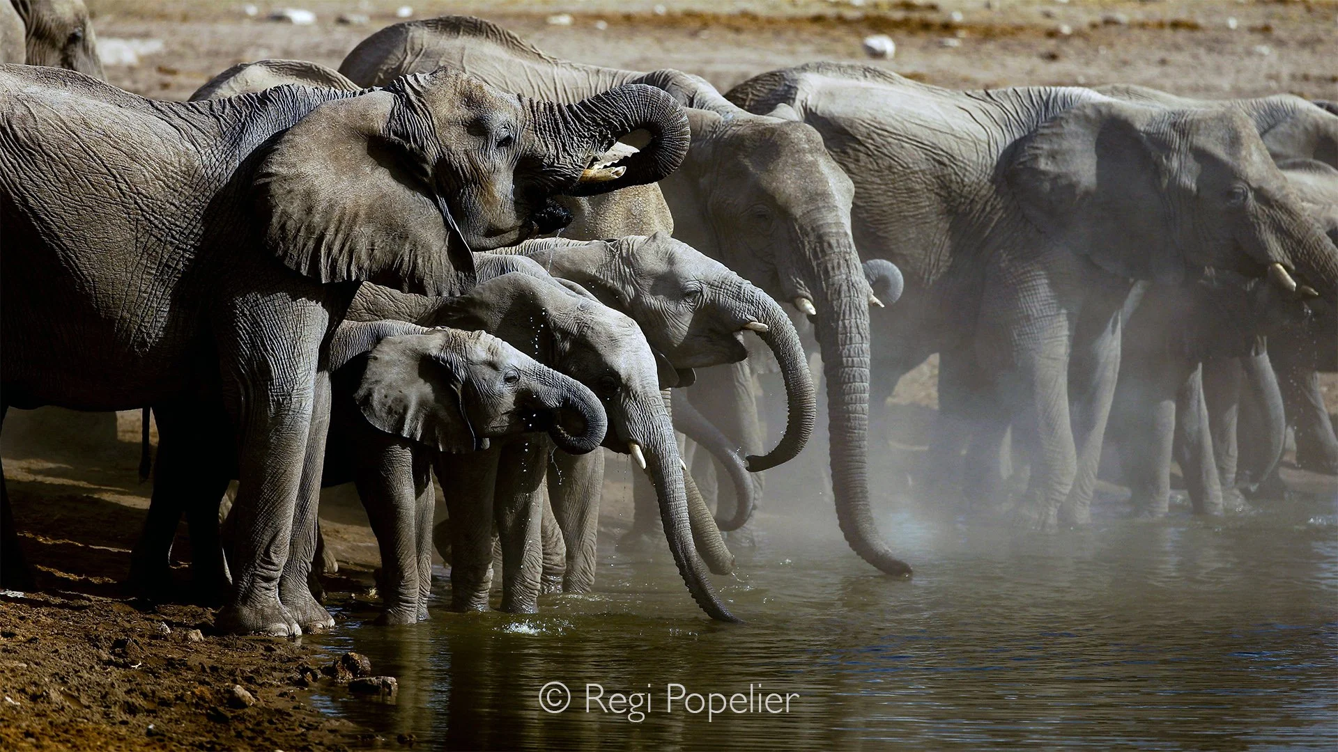 Namibia081 - The art of waiting, rewarded by nature.