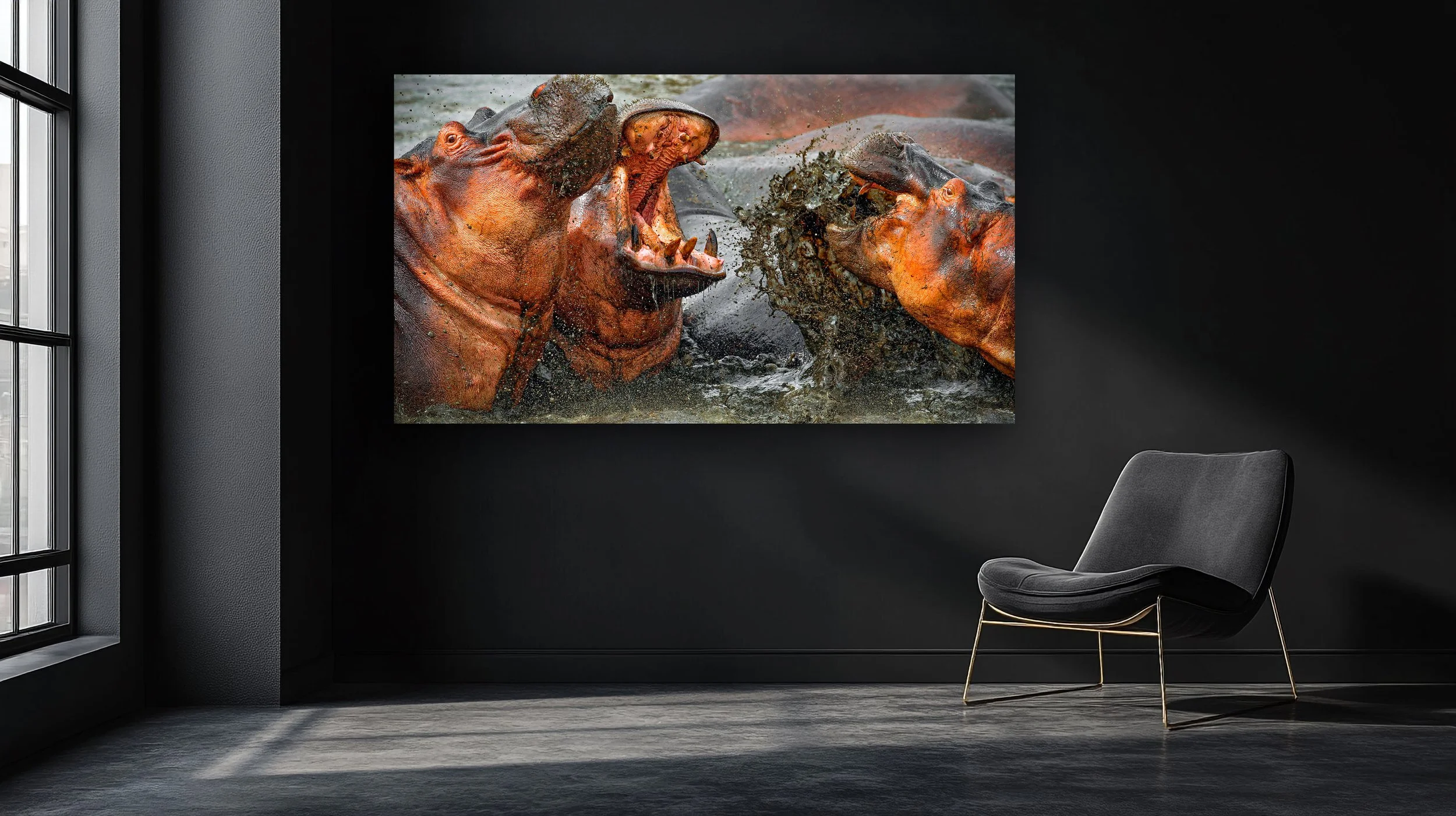 DISPUTe zwarte kamer.jpg