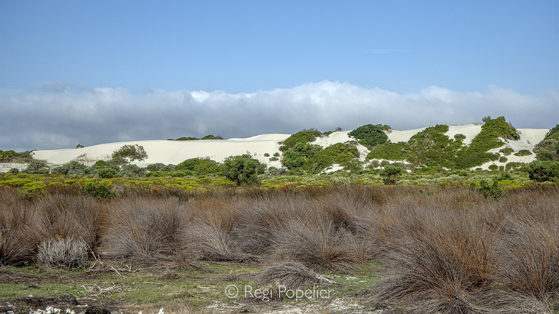 South Africa125 - White Sand Dunes in De Hoop South Africa. 