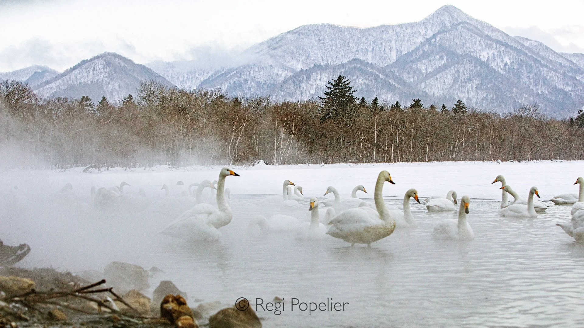 HOK041 - Early morning light, rising steam from the warm water, and the surrounding mountains create a layered, atmospheric scene that works beautifully for wide environmental perspectives