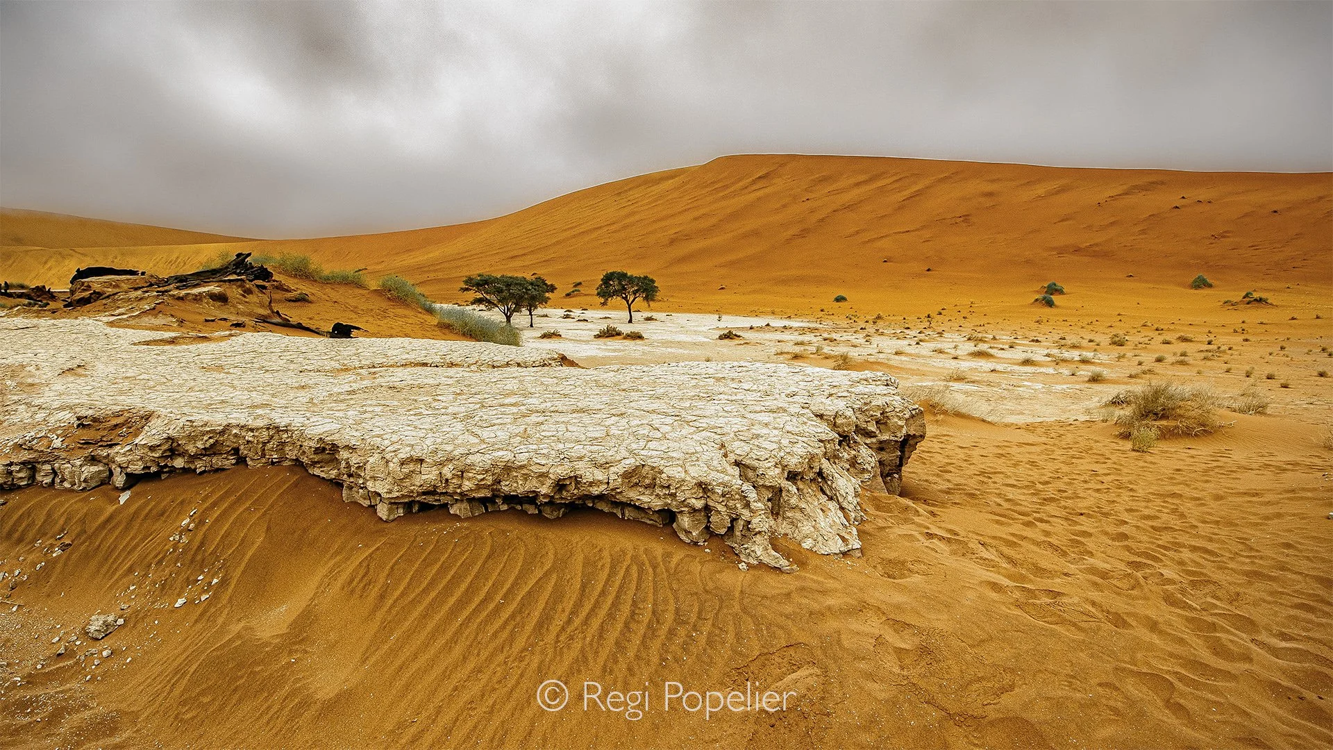Namibia058 - The haunting beauty of contrast in Deadvlei.