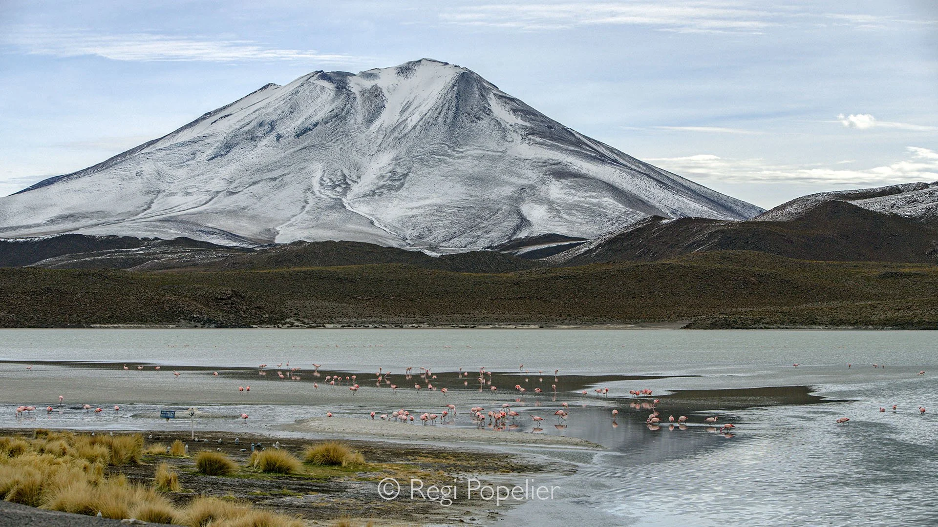 BOL008 - Andean flamingos in Laguna Colorada at sunrise, with the mountains as a backdrop, the lake’s waters appear blue in the morning, turning vibrant red by afternoon.