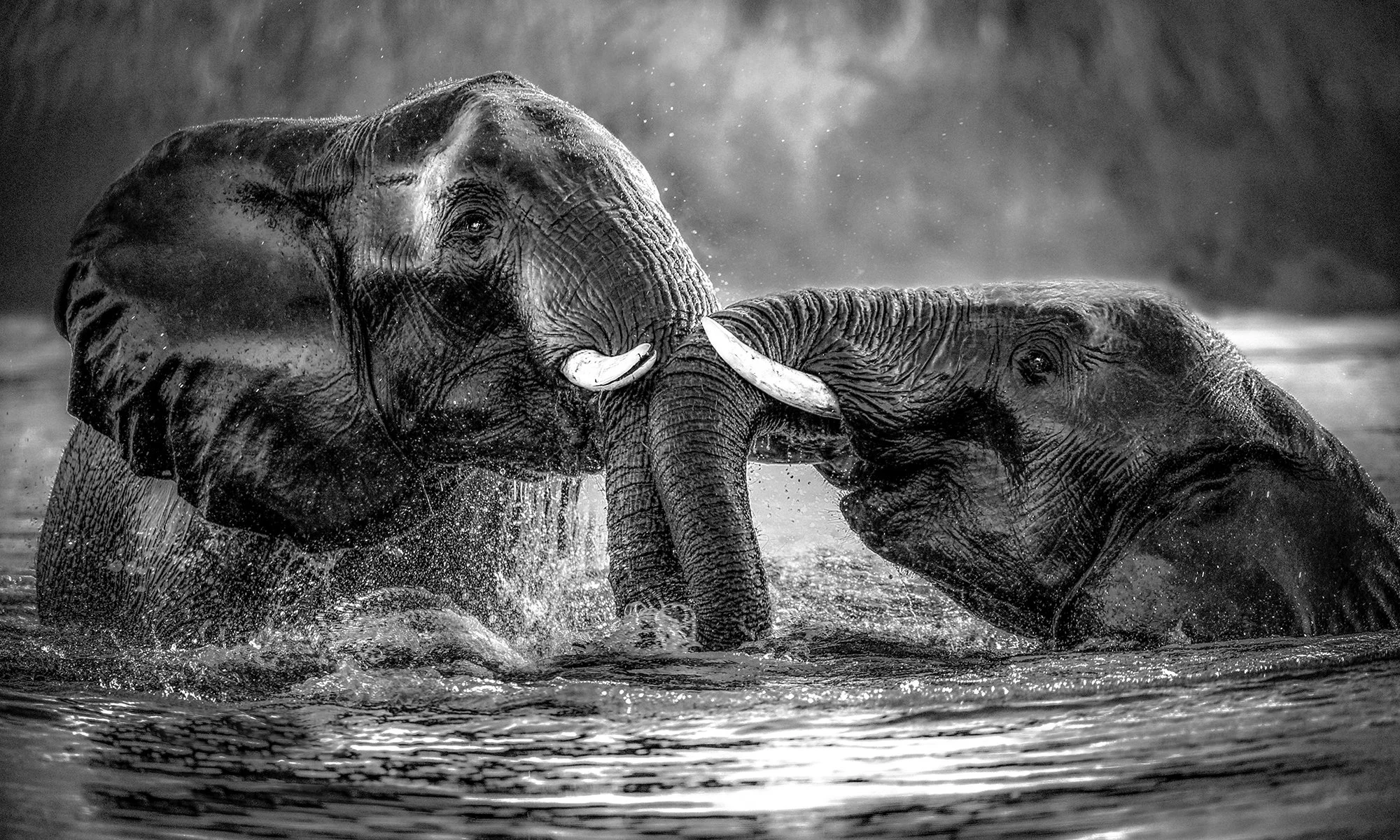 BW 003  Playtime  100x60cm  2 kopiëren.jpg