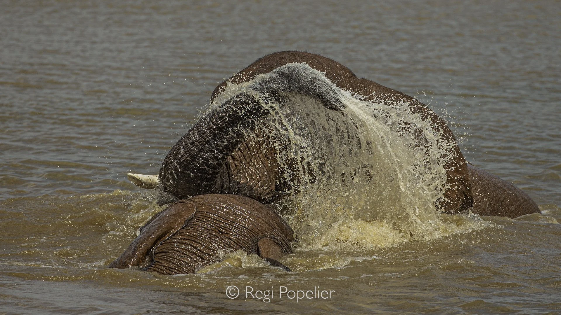 Namibia018 - Always nice to photograph.