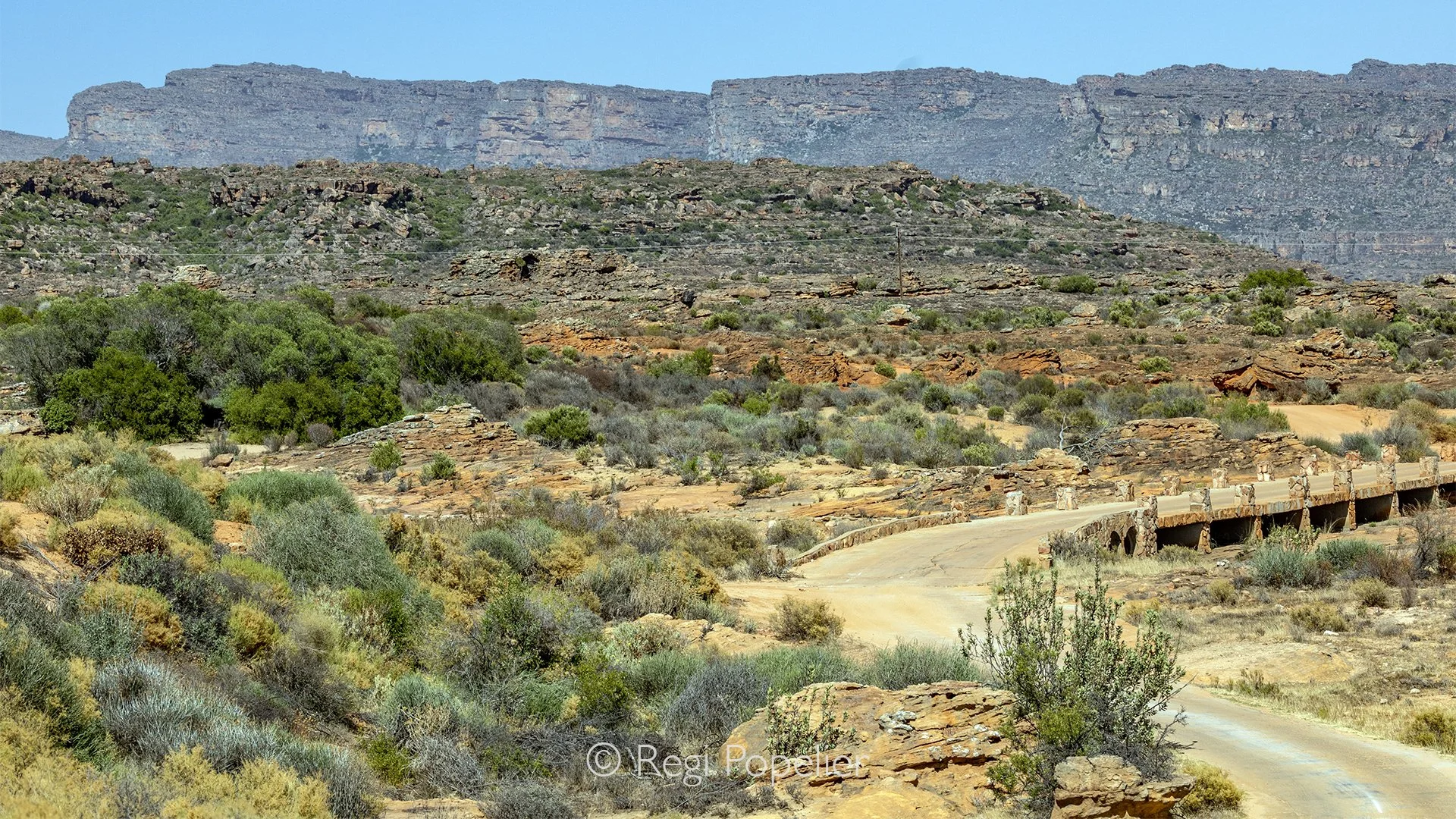 South Africa124 - On the way to Bushman's kloof reserve. Cederberg. 