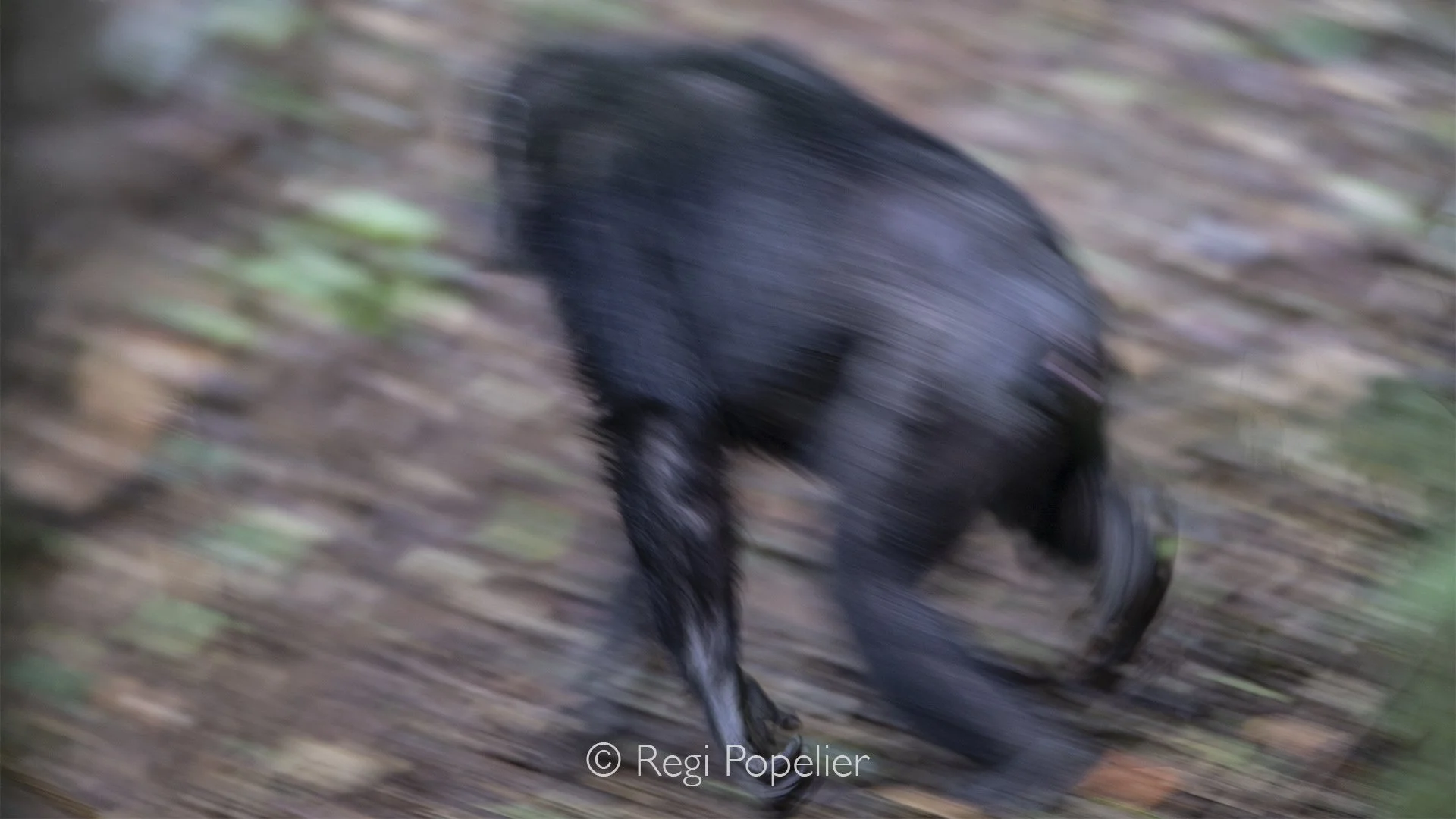 RWANDA045  - 