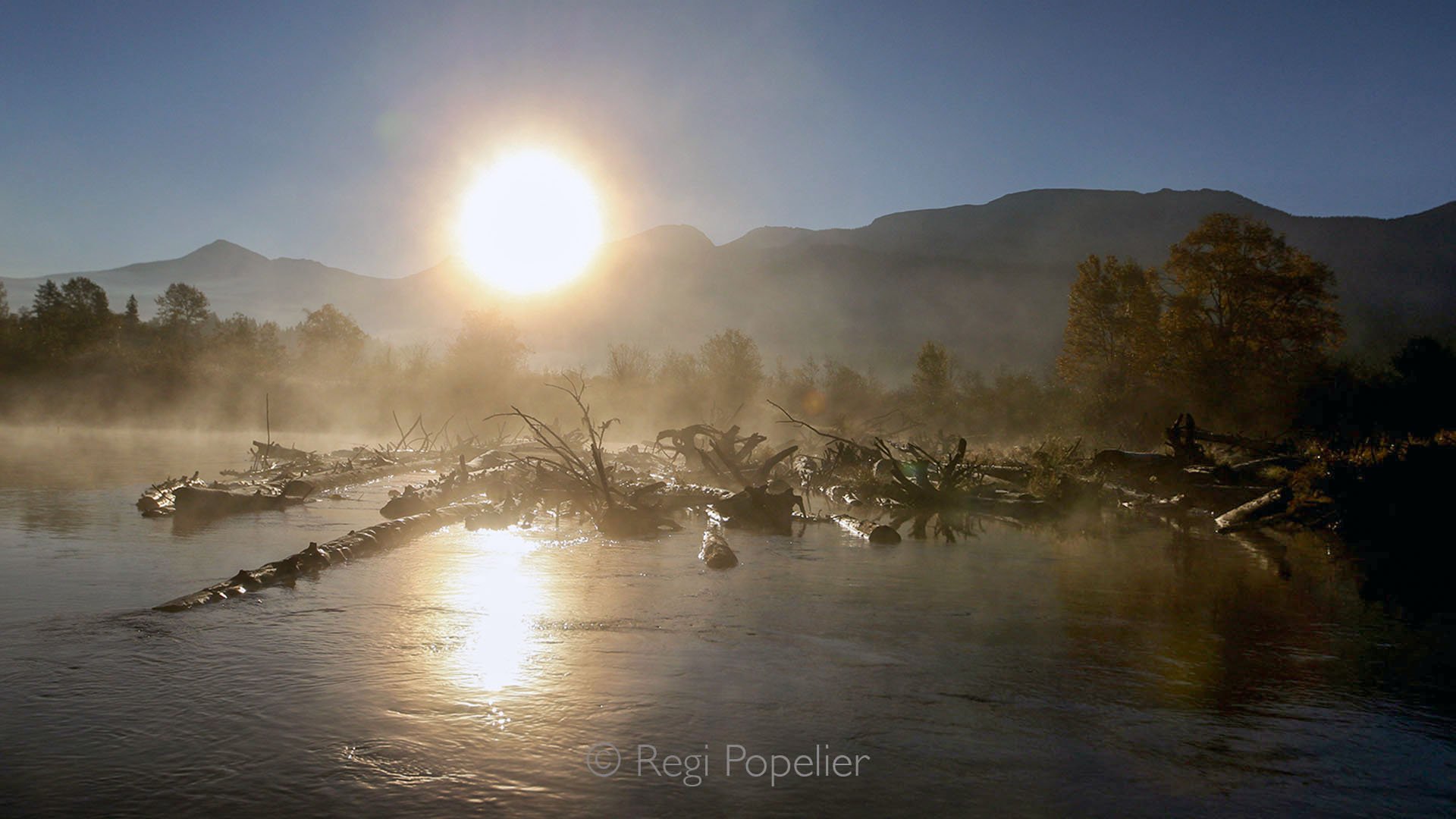 CAN014 - Early morning unfolds along the river on our way to photograph grizzlies, the soft light adding depth and dimension to the scene making it kind of mysterious.