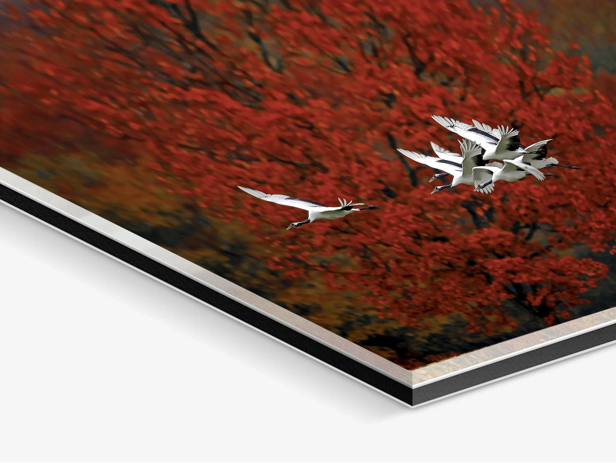 autumn flight detail kopie.jpg