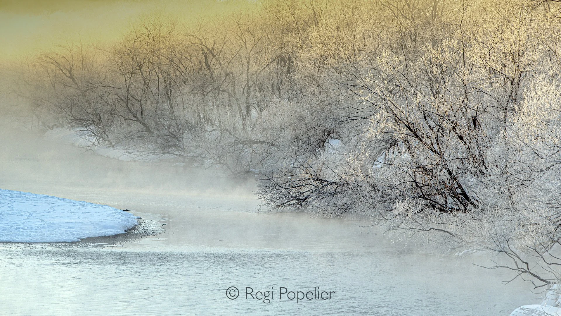 HOK022 -A frozen river and ice Cristals covering the branches of trees during sunrise 