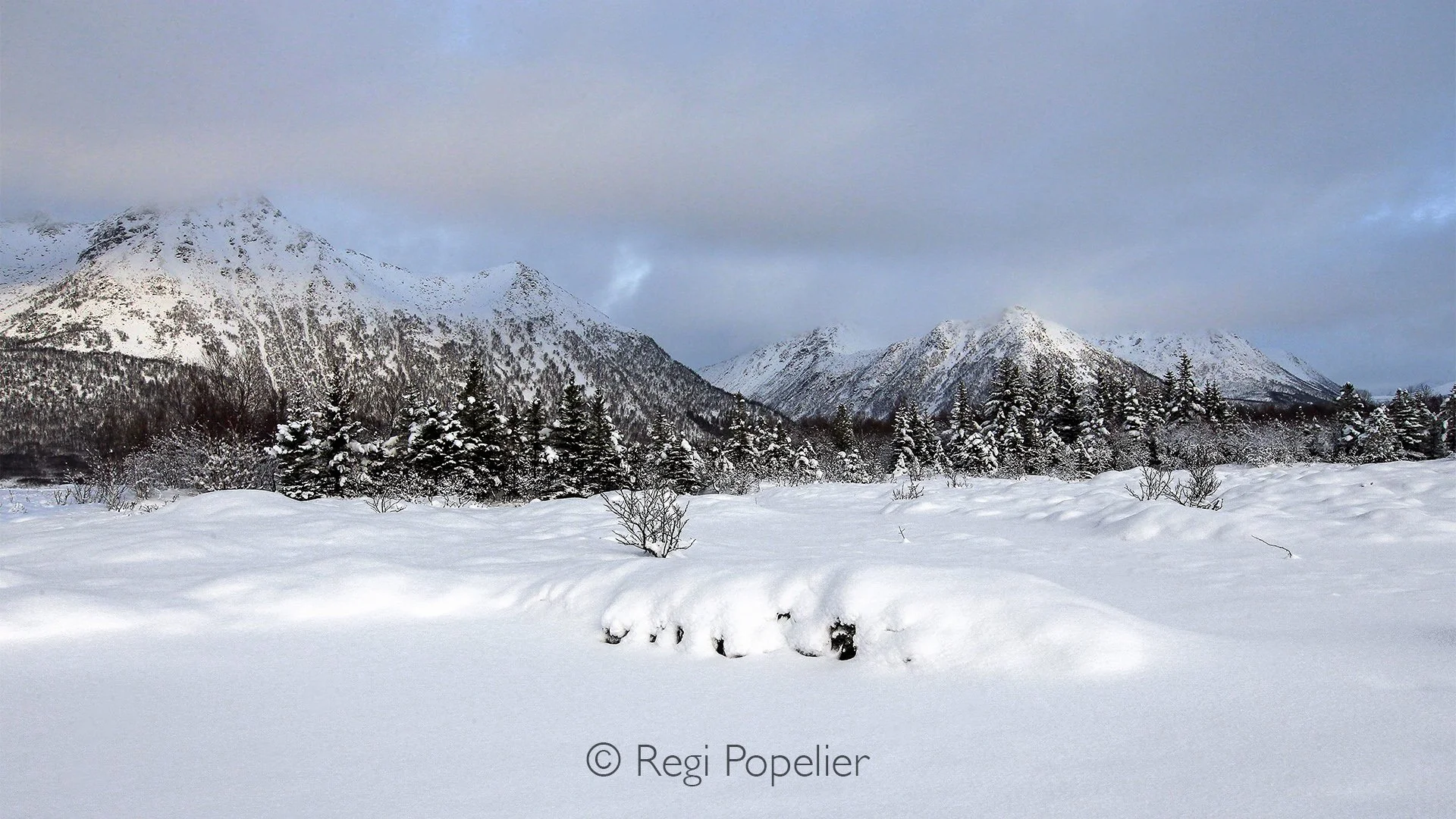 NORWAY001 - Winter carves elegant sculptures from snow and ice, transforming the Norwegian wilderness into a landscape of endless abstraction.
