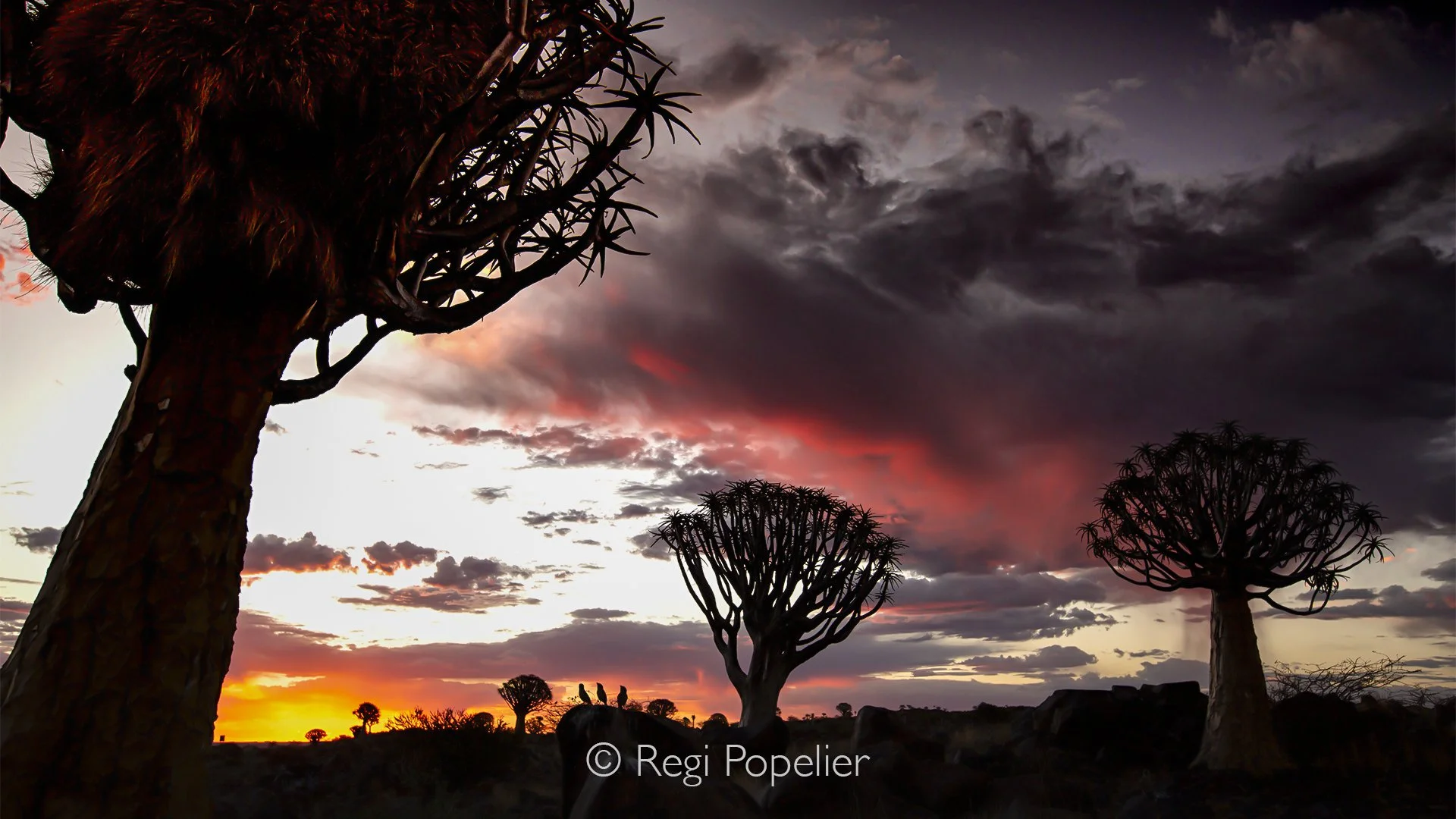 Namibia004 - evening and night photography at Quiver