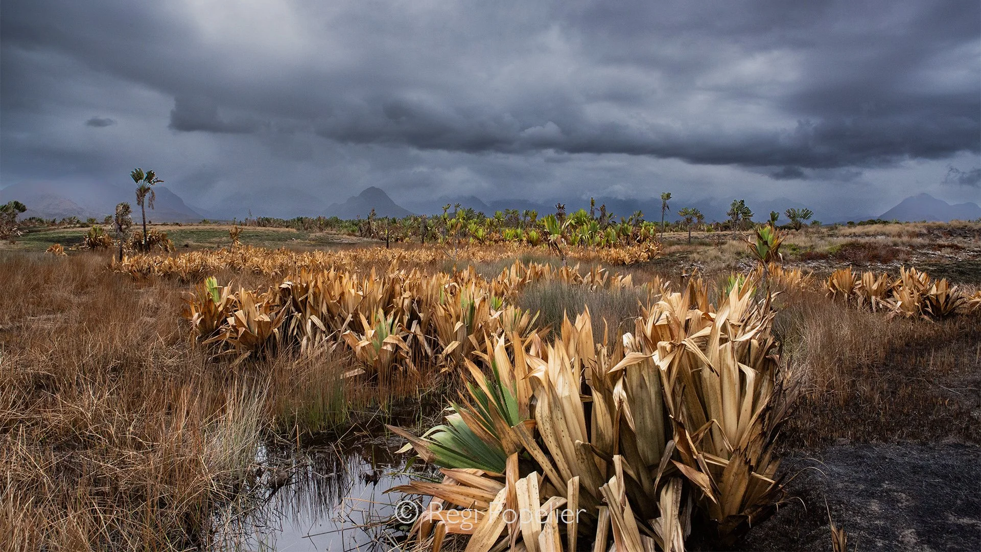 MADA034 - Landscapes of Madagascar 