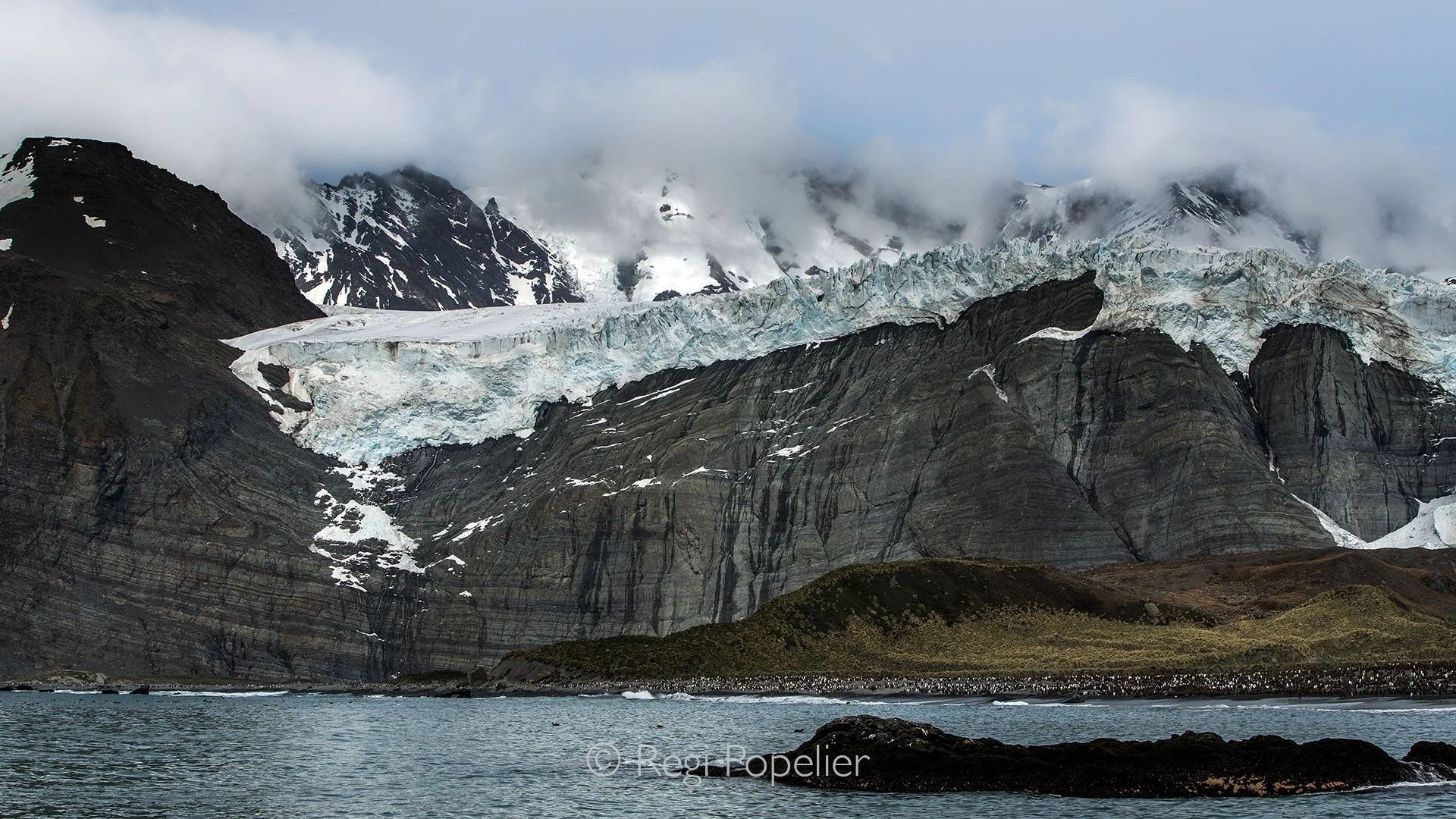 ANT013 - A dramatic coastline with ice-capped, cloud shrouded mountains and a bustling colony of King Penguins on the beach, a spectacle of Antarctic life.