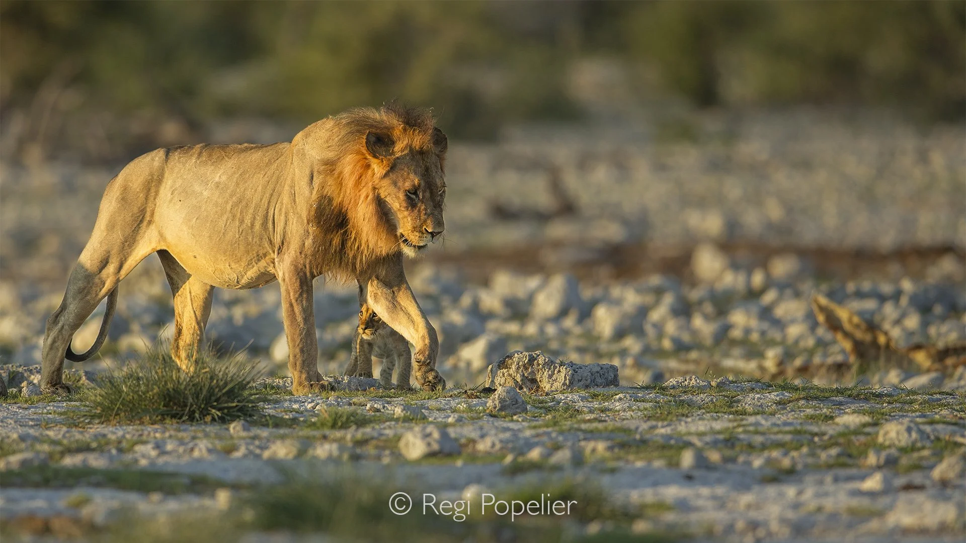 Namibia095 -  Under the shadow of a giant.