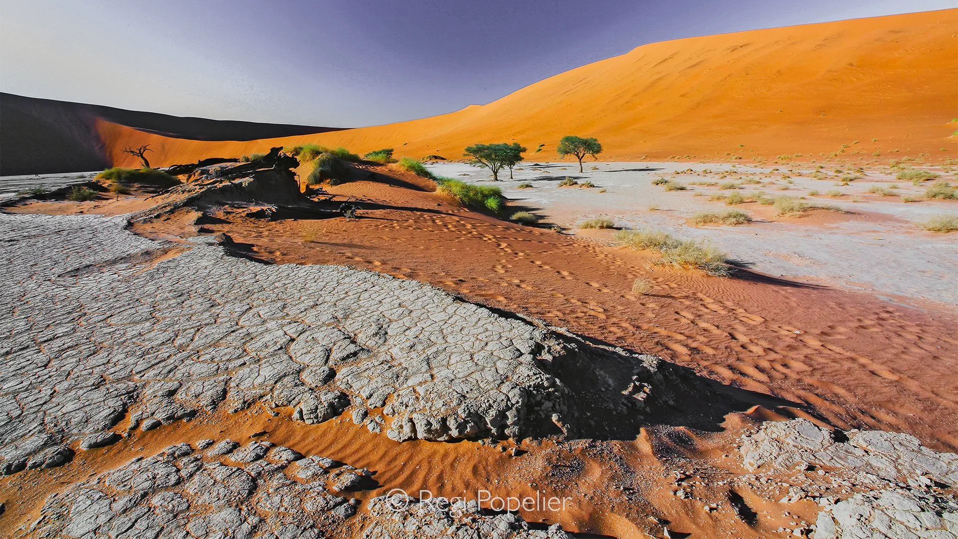 Namibia001 - The contrast of the landscape in Deadvlei. 