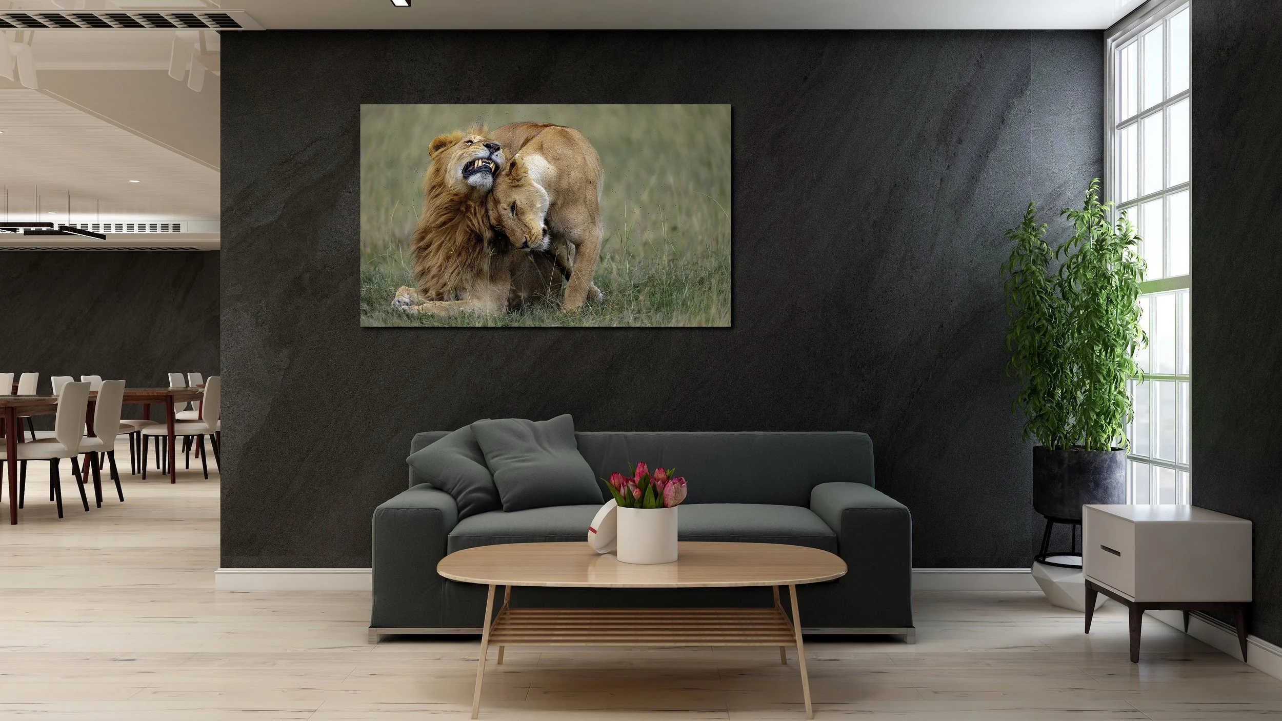 tenderness ca 007 black living.jpg