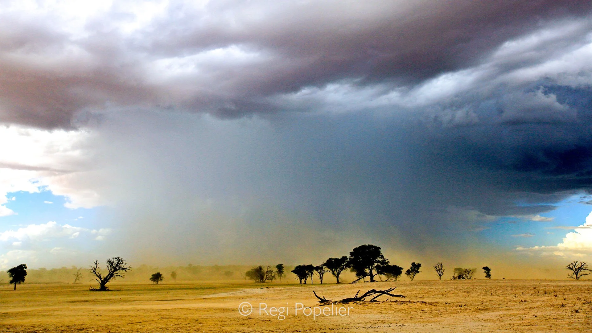 South Africa004 - The stillness of the day is slowly consumed by the arrival of a desert storm. Winds gather strength, lifting fine red dust into the air until the horizon slowly disappears behind a veil of swirling earth. The landscape transforms in